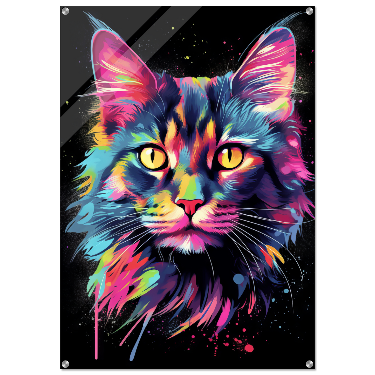 Cat Maine Coon Pop Art (CAT50)