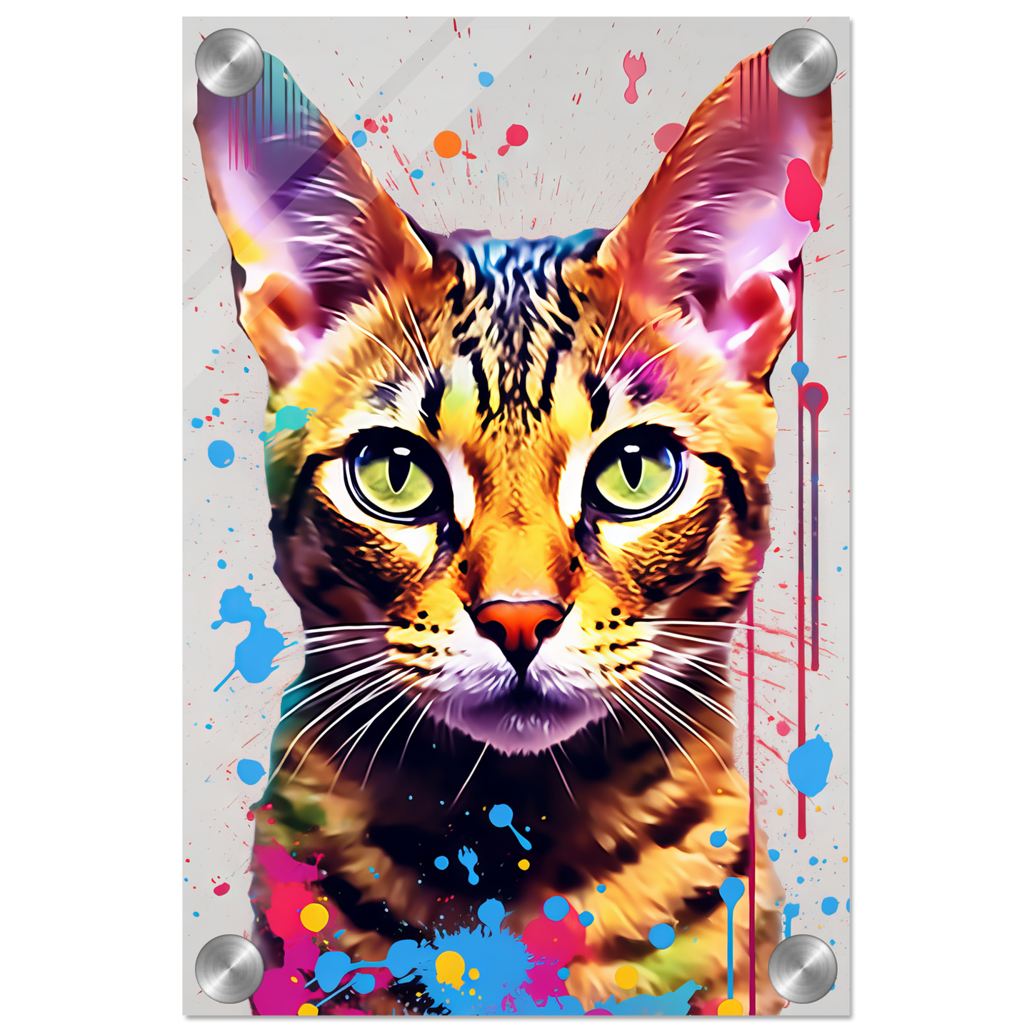 Cat Bengal Pop Art (CAT61)