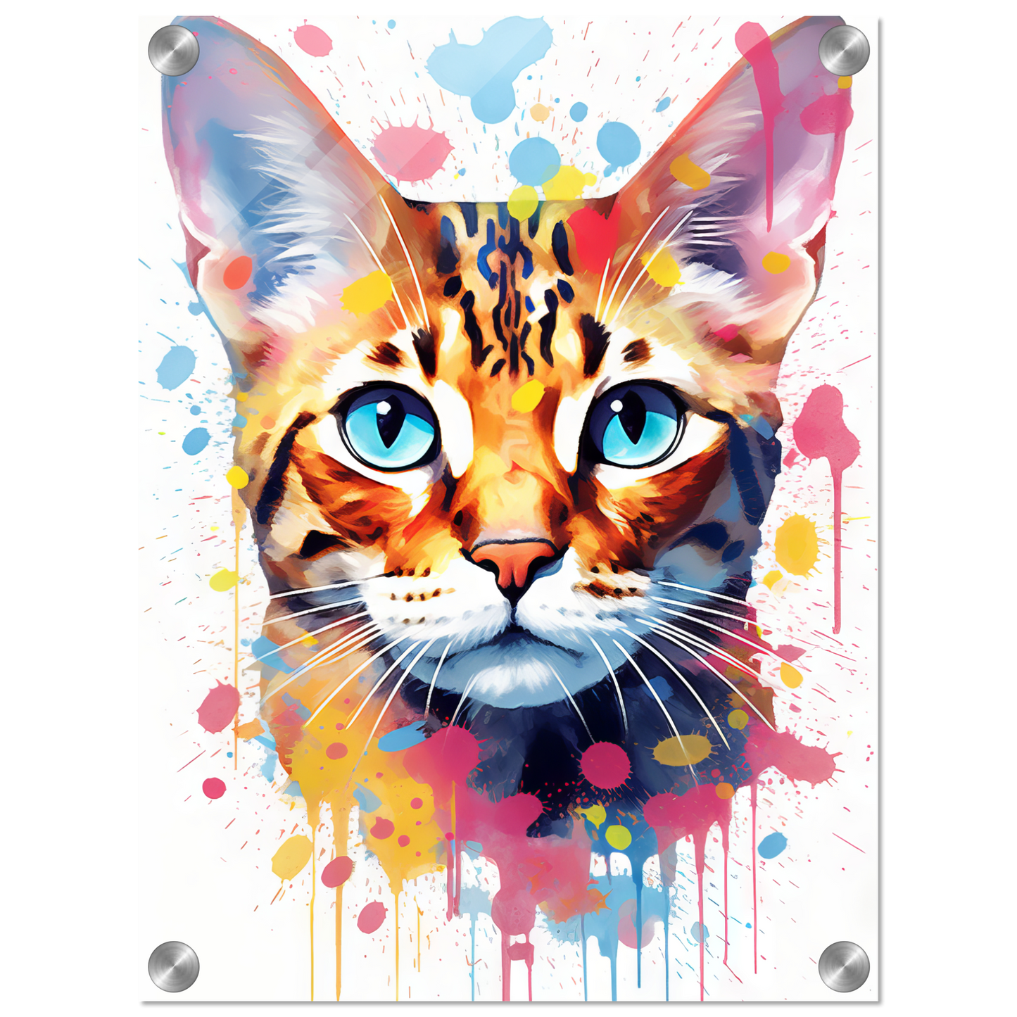 Cat Bengal Pop Art (CAT62)