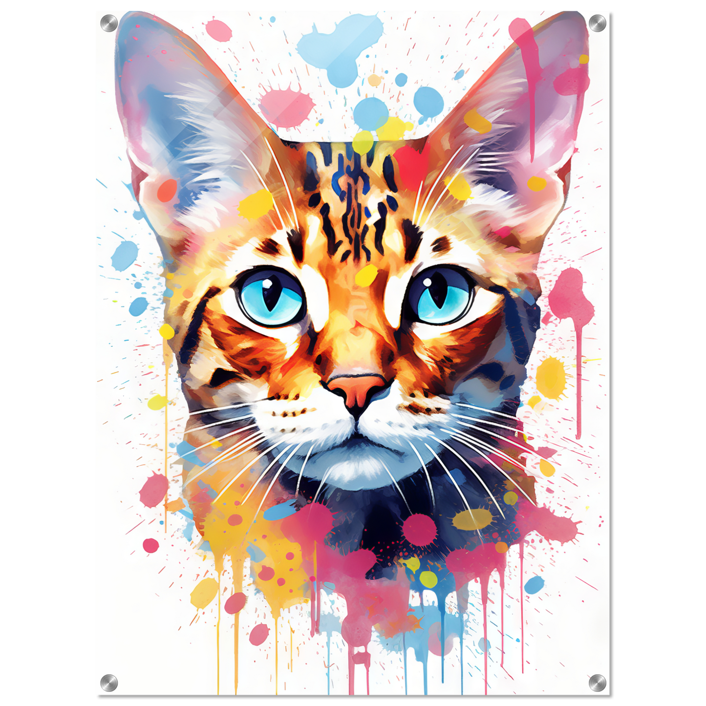 Cat Bengal Pop Art (CAT62)