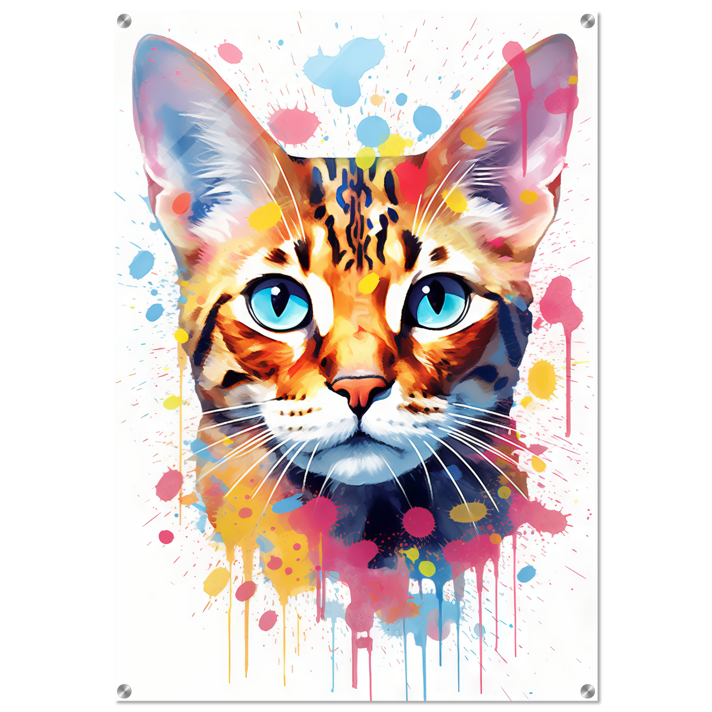 Cat Bengal Pop Art (CAT62)