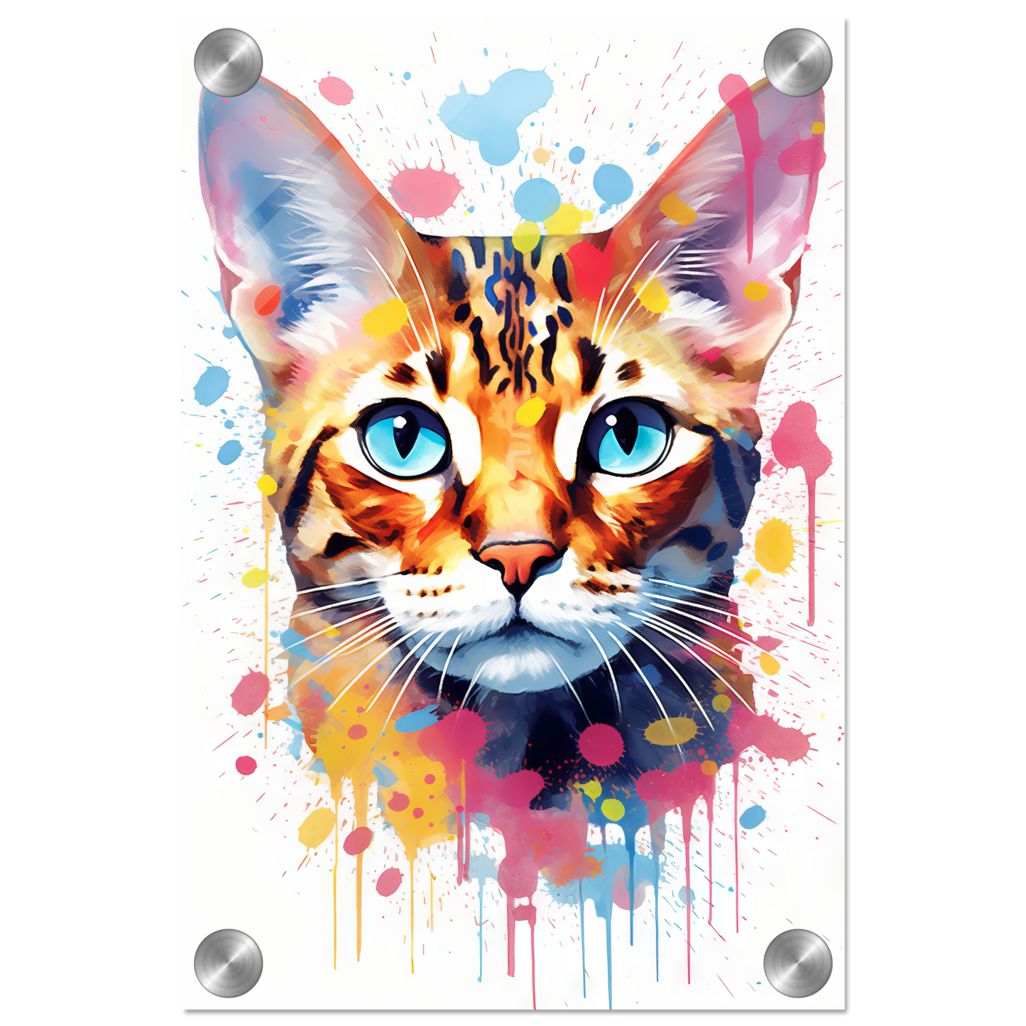 Cat Bengal Pop Art (CAT62)