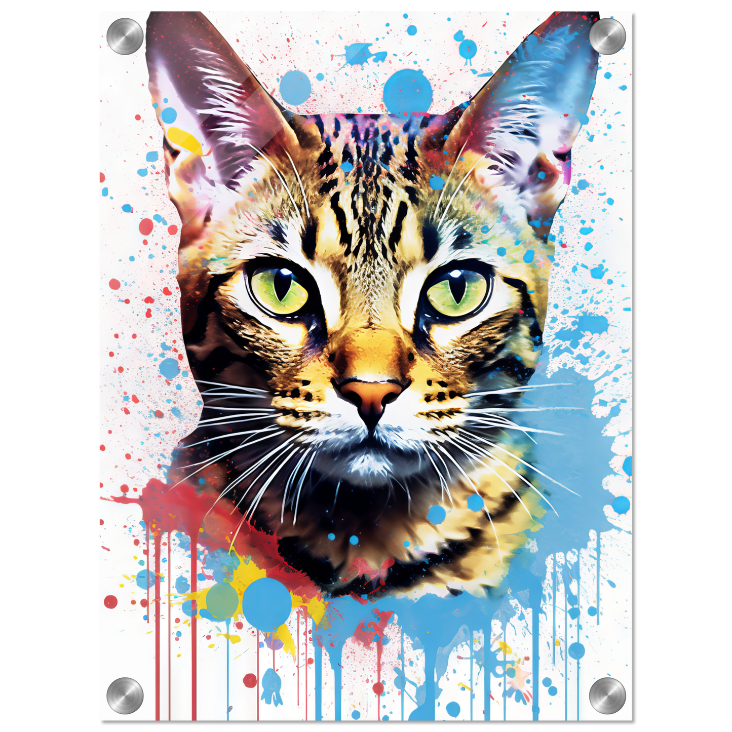 Cat Bengal Pop Art (CAT64)