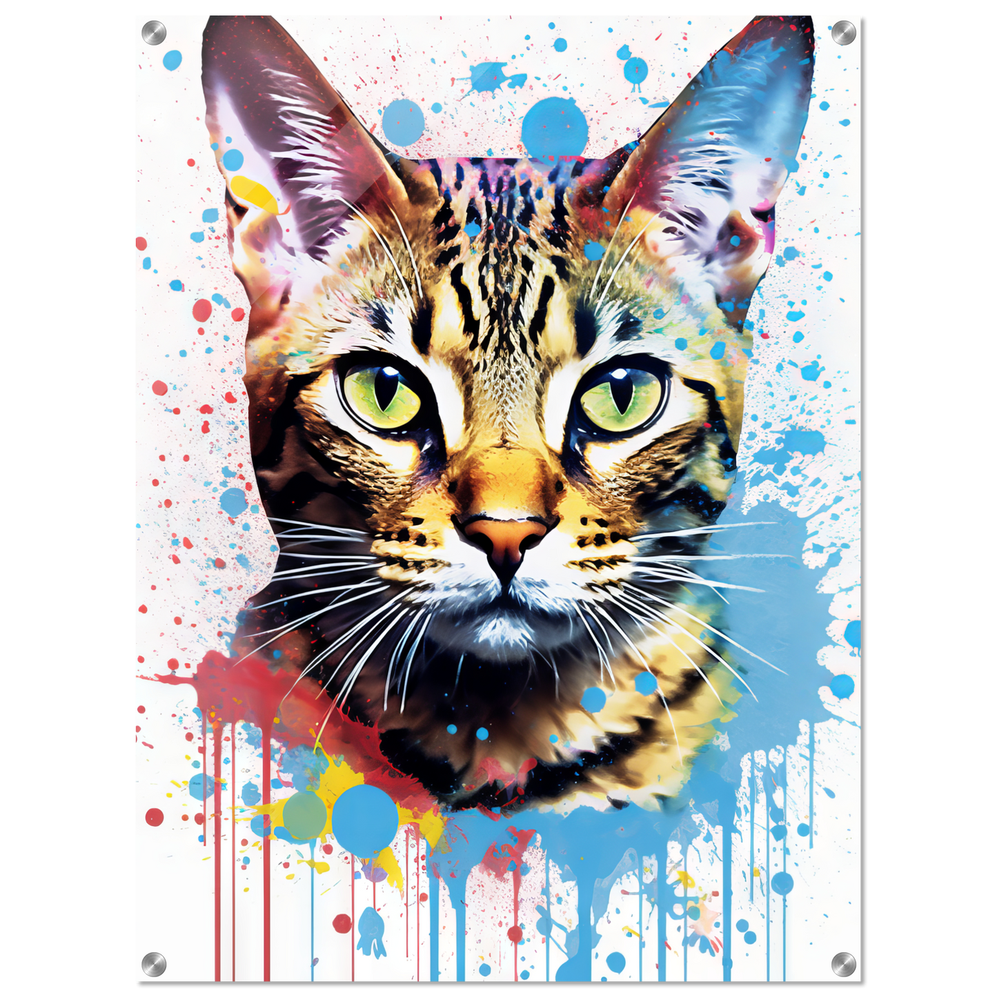 Cat Bengal Pop Art (CAT64)