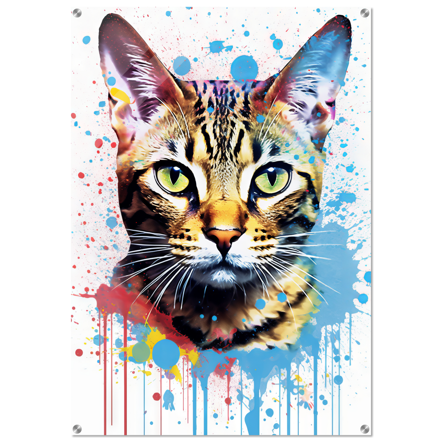 Cat Bengal Pop Art (CAT64)
