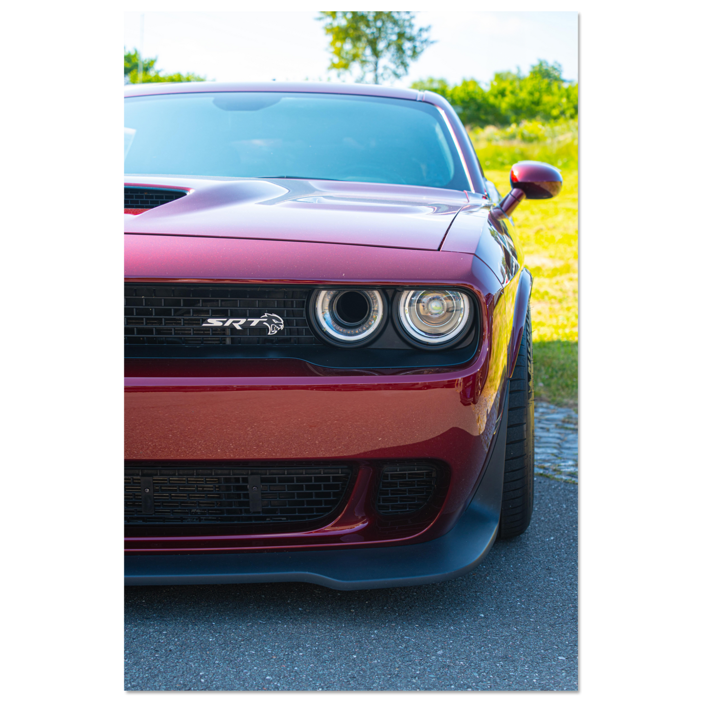 Dodge Challenger (DODGE02)