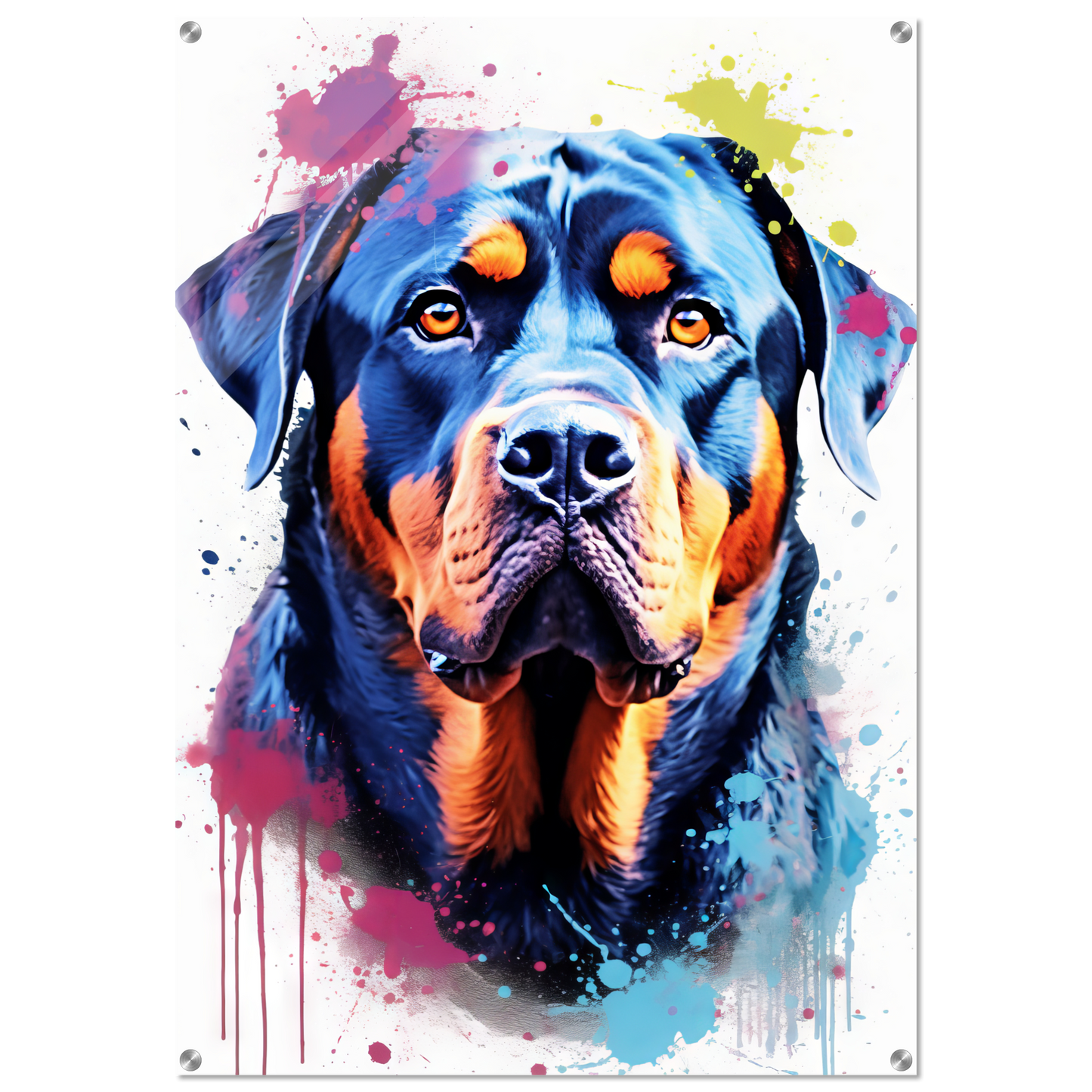 Hund Rottweiler Pop-Art (DOG123)
