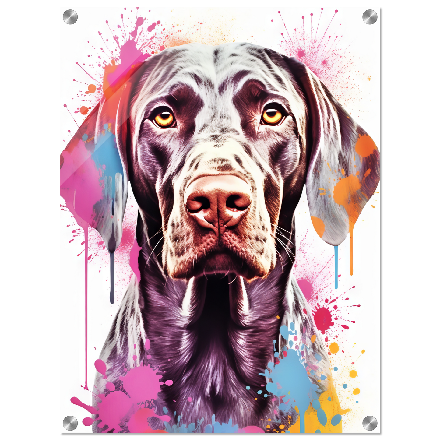 Hund Deutsch Kurzhaar Pop-Art (DOG129)