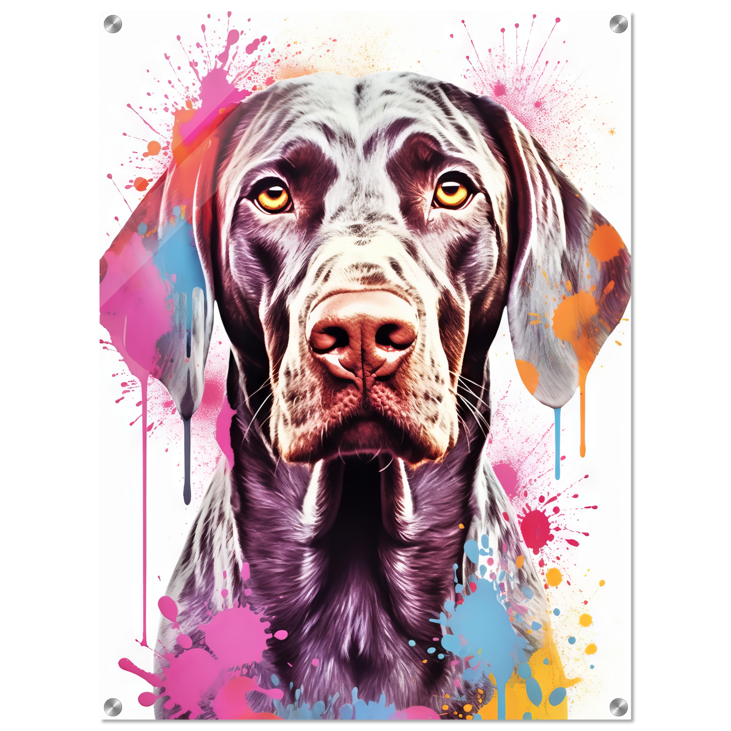 Hund Deutsch Kurzhaar Pop-Art (DOG129)