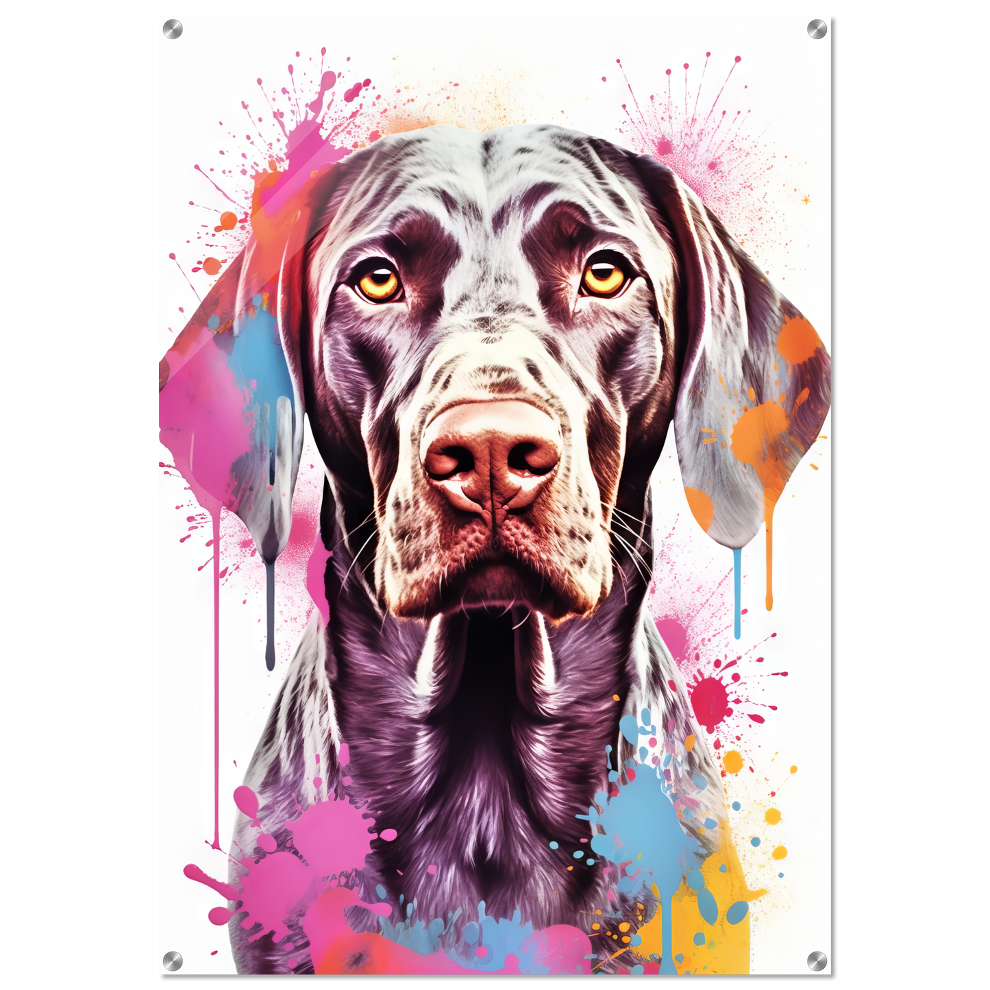 Hund Deutsch Kurzhaar Pop-Art (DOG129)