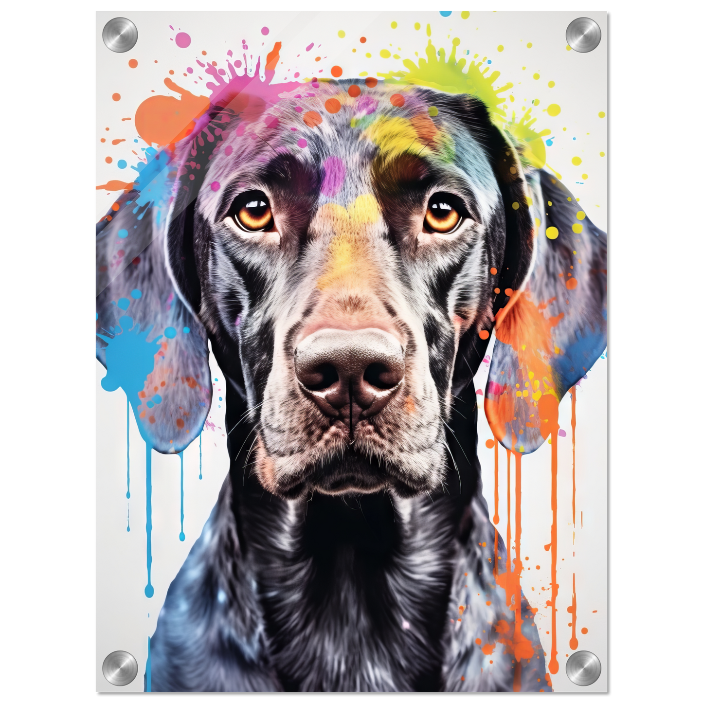 Hund Deutsch Kurzhaar Pop-Art (DOG131)