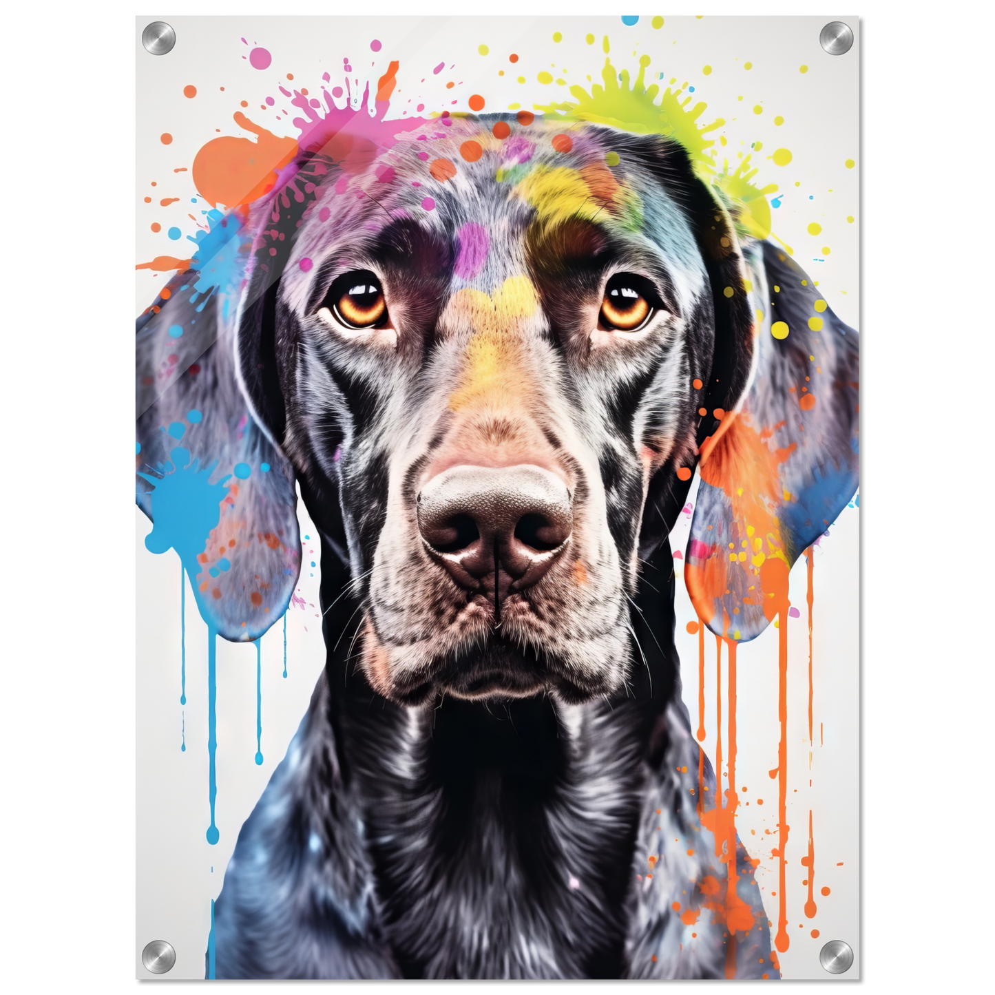 Hund Deutsch Kurzhaar Pop-Art (DOG131)
