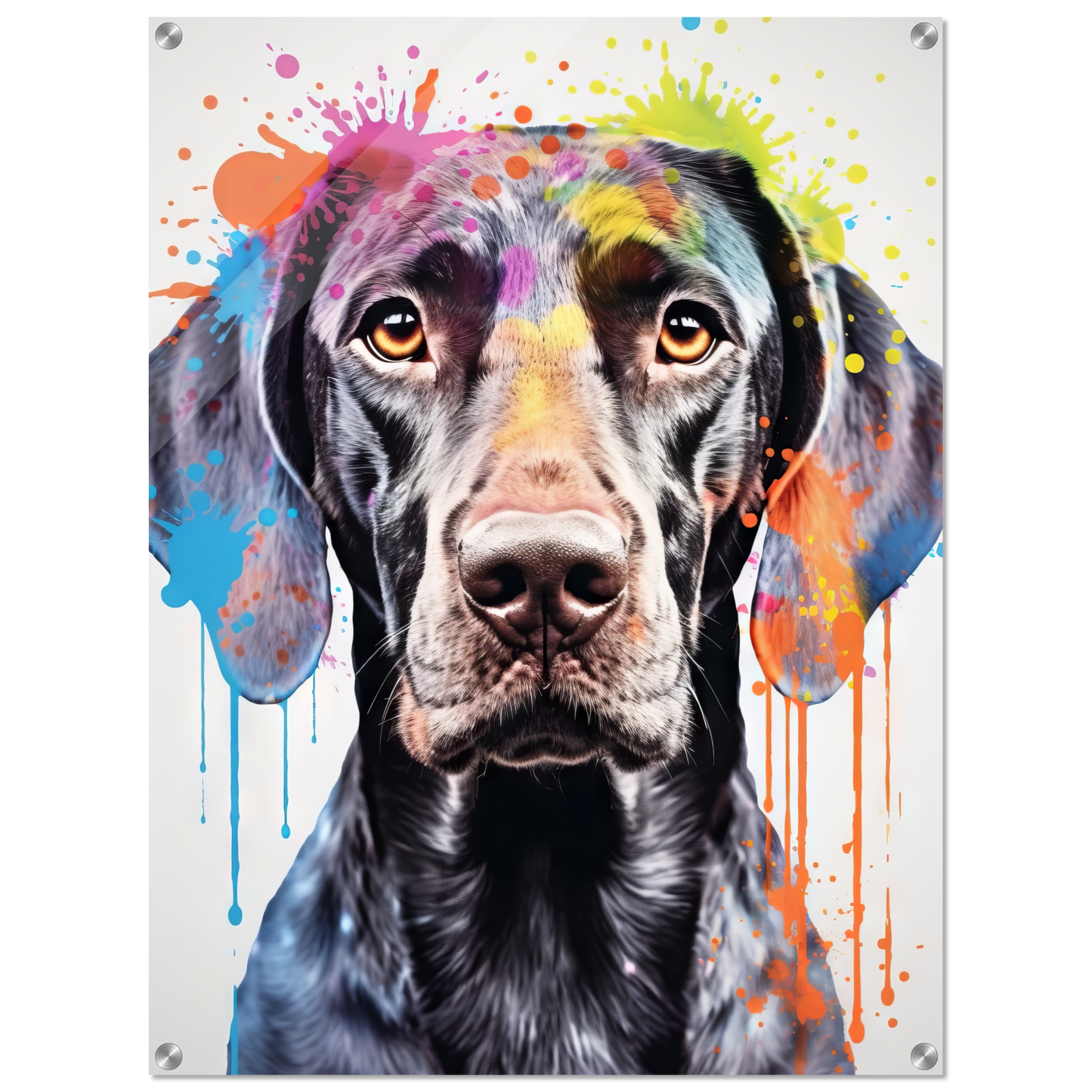 Hund Deutsch Kurzhaar Pop-Art (DOG131)