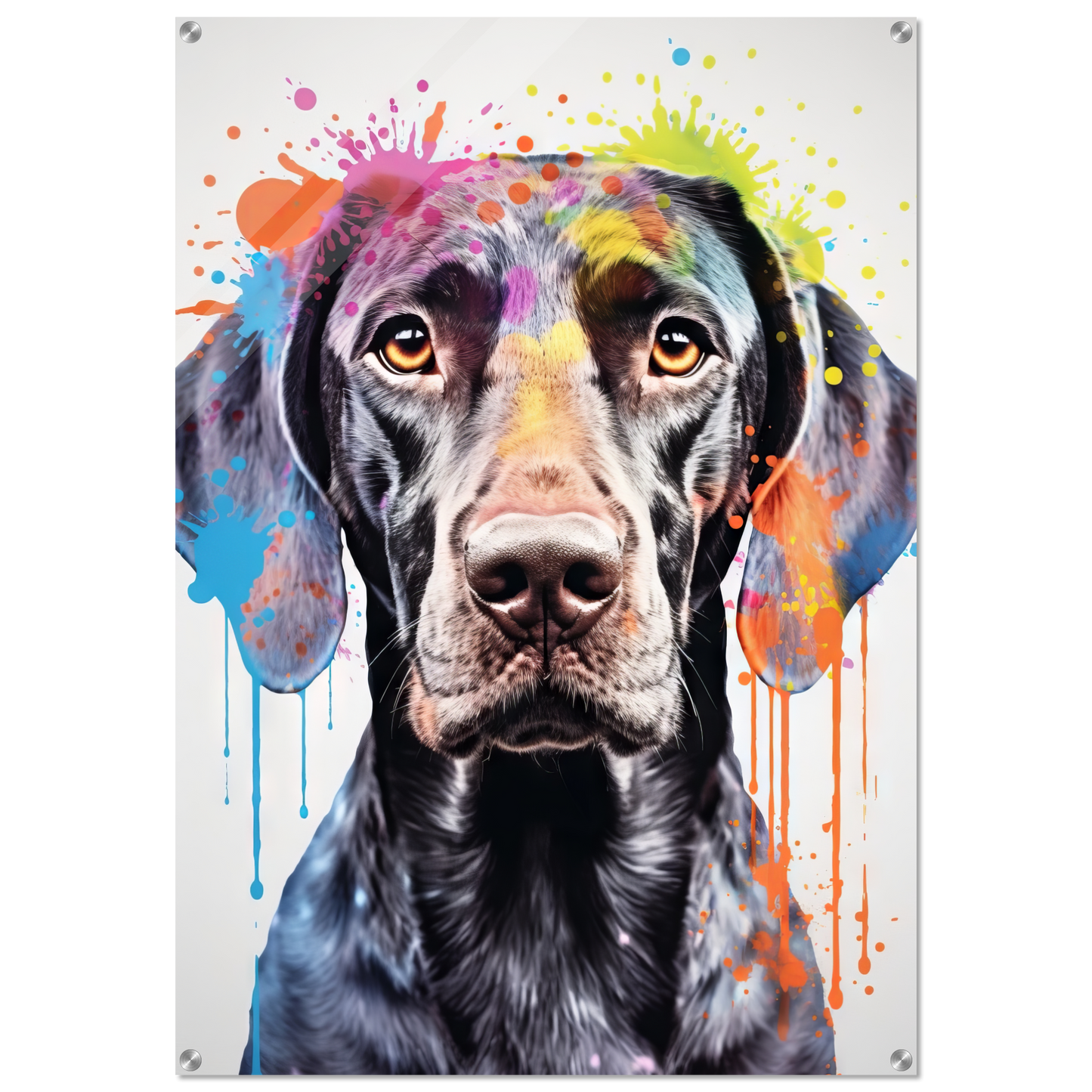 Hund Deutsch Kurzhaar Pop-Art (DOG131)