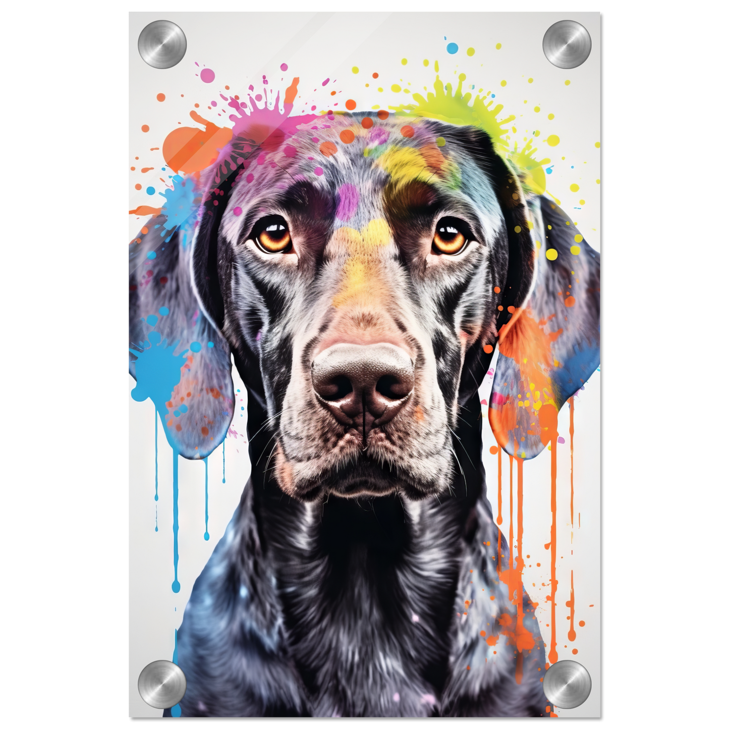 Hund Deutsch Kurzhaar Pop-Art (DOG131)