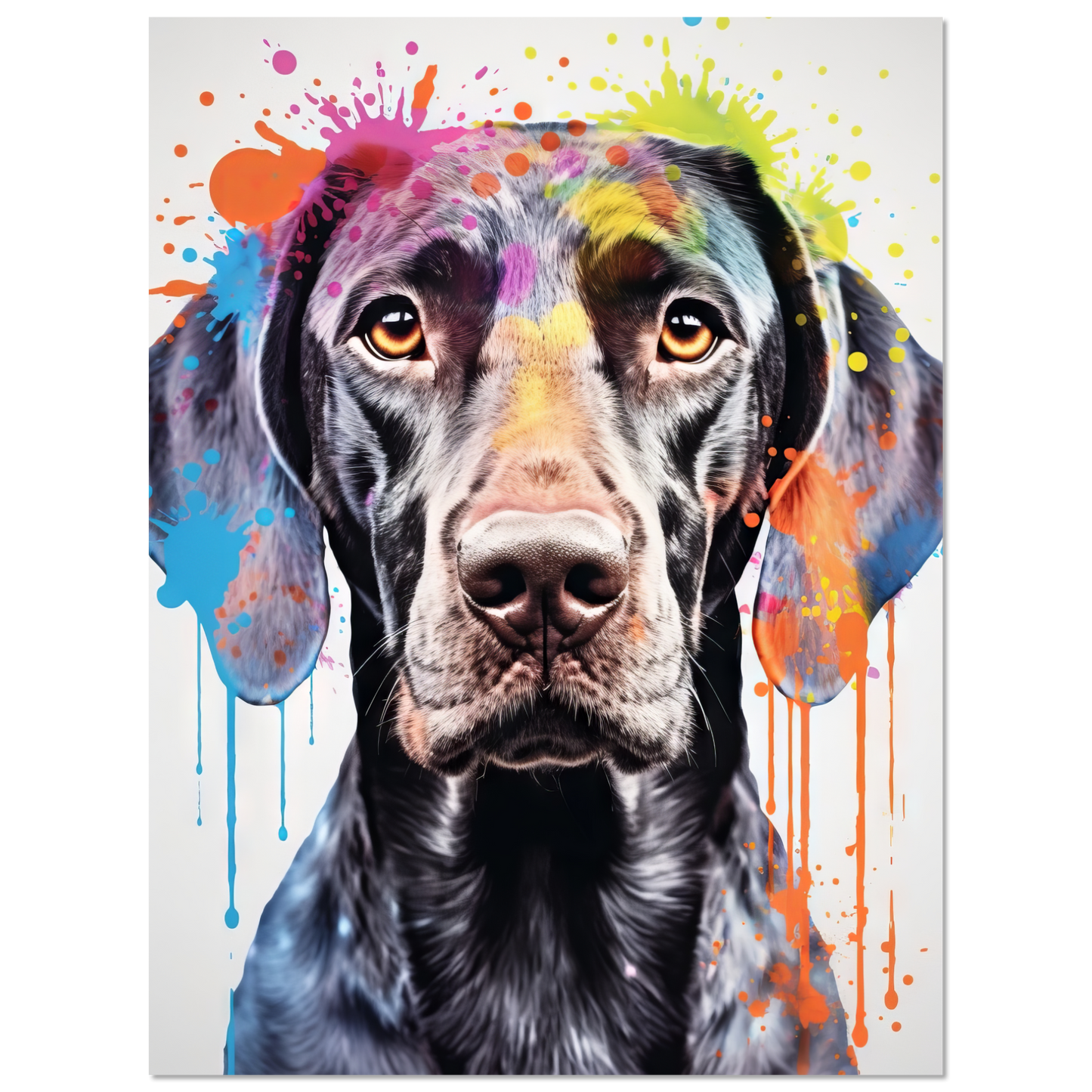 Hund Deutsch Kurzhaar Pop-Art (DOG131)