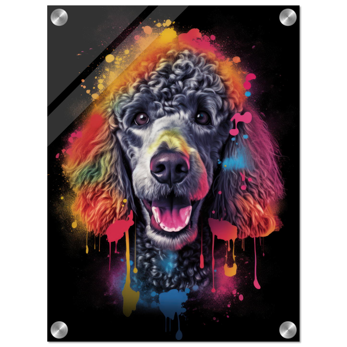 Poodle pop art (DOG152)
