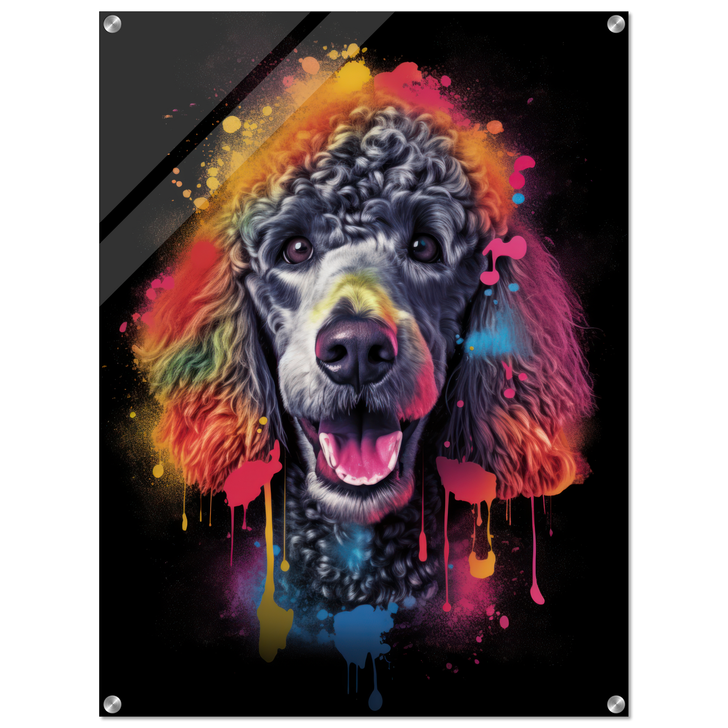 Poodle pop art (DOG152)