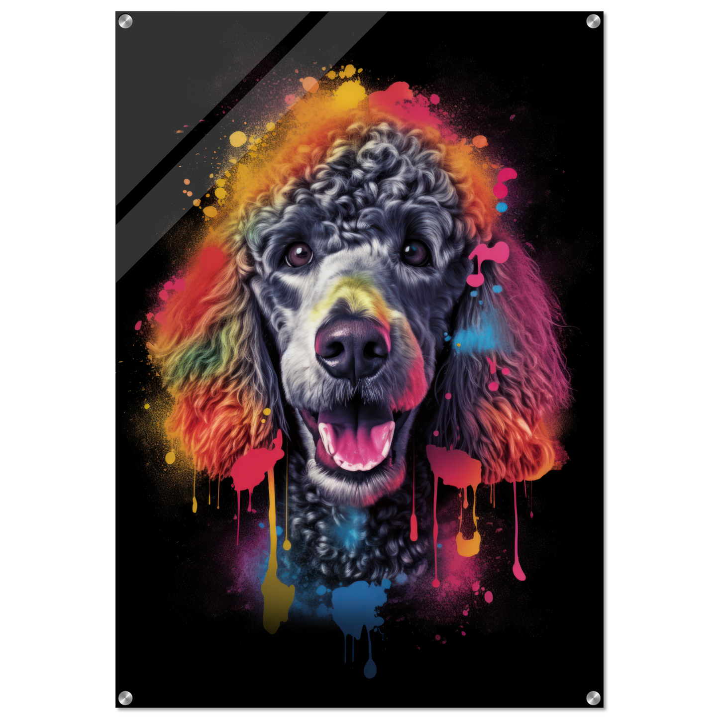 Poodle pop art (DOG152)