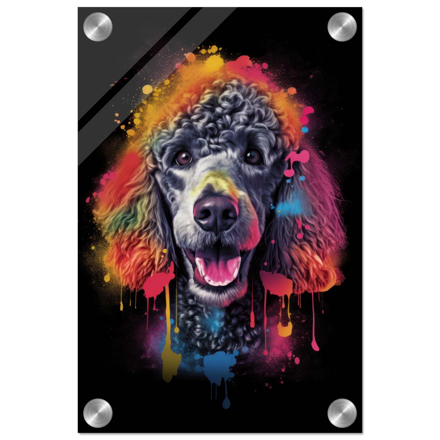 Poodle pop art (DOG152)