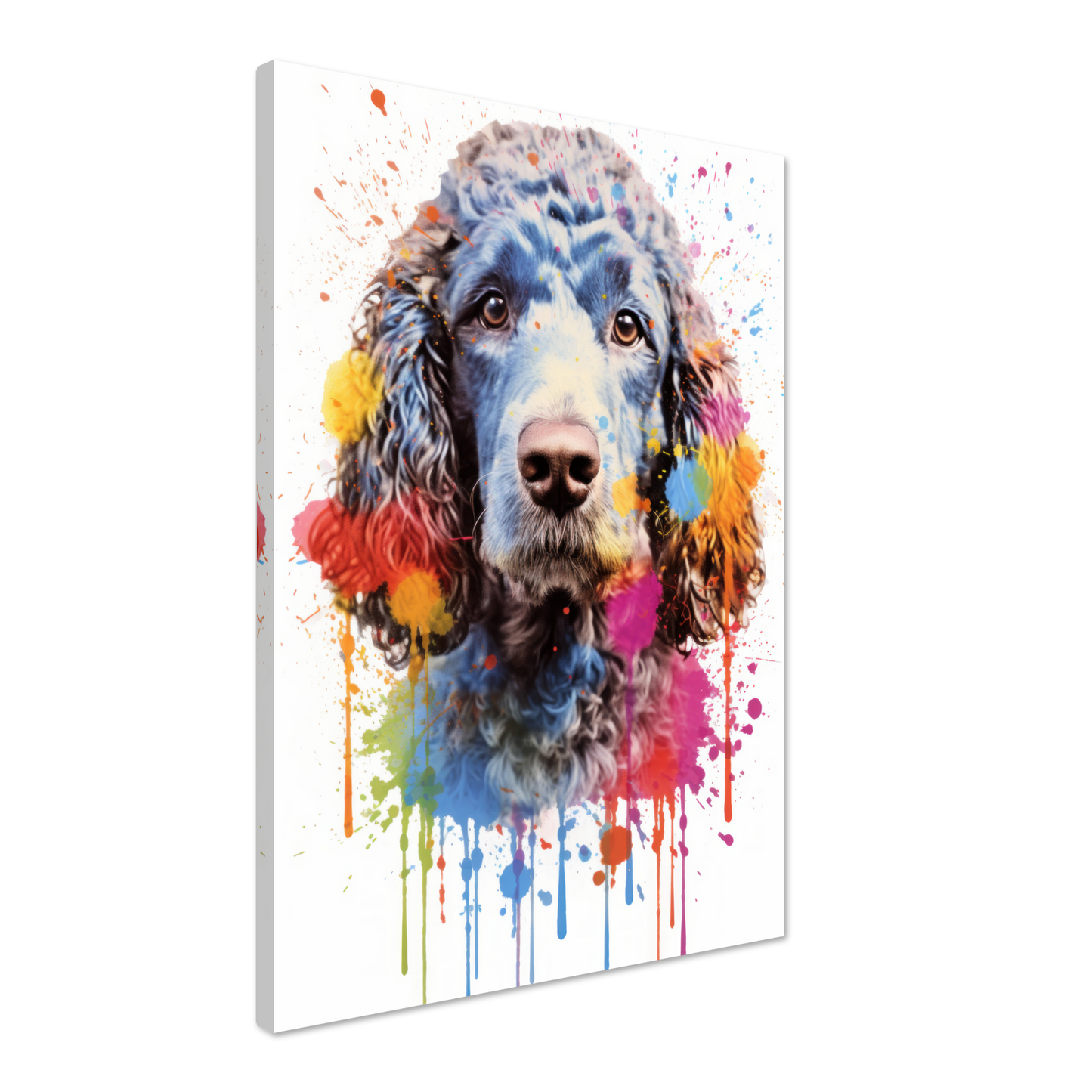 Pudel Pop-Art (DOG155)