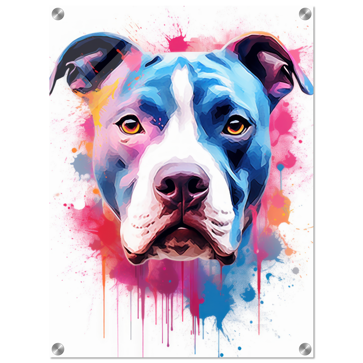 American Staffordshire Terrier Pop Art (DOG162)