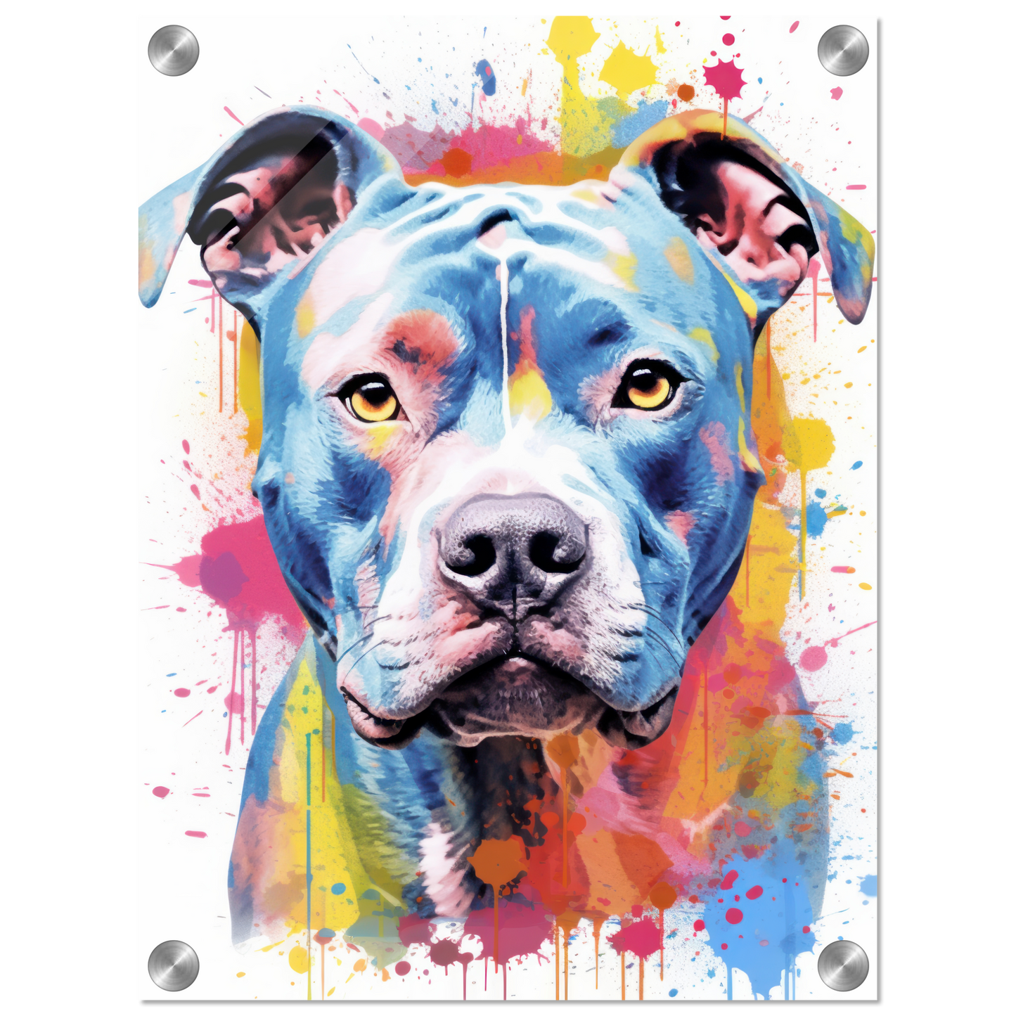 American Staffordshire Terrier Pop Art (DOG164)
