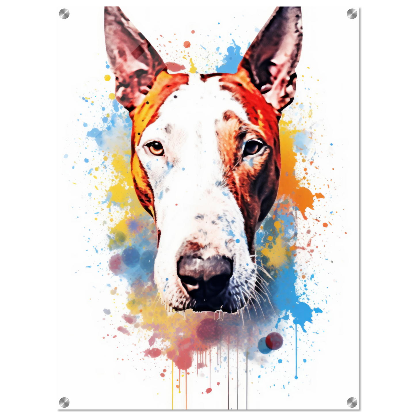 Bull terrier pop art (DOG169)