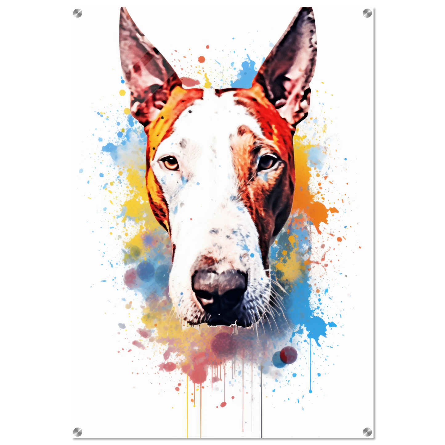 Bull terrier pop art (DOG169)