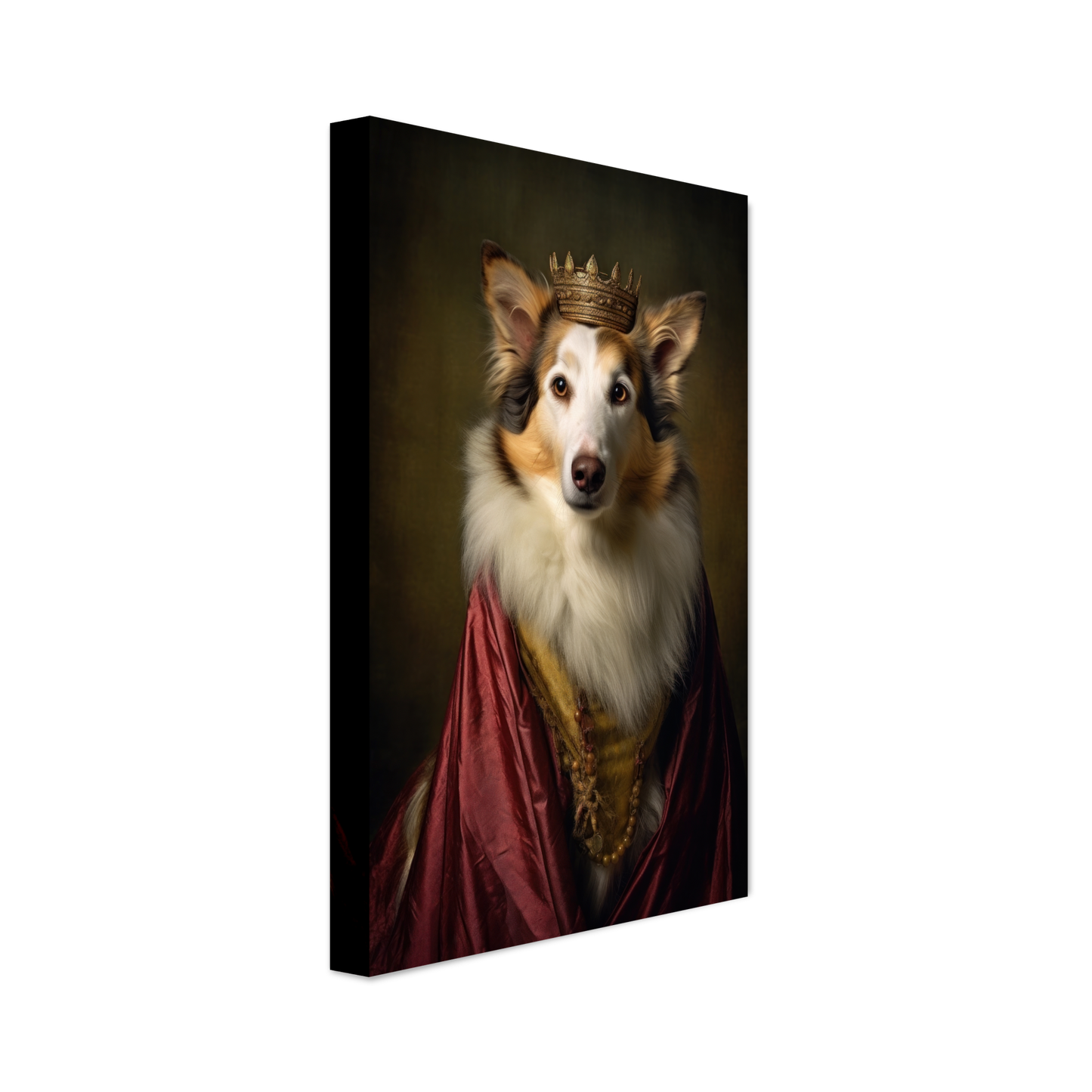 Collie Renaissance (DOG190)