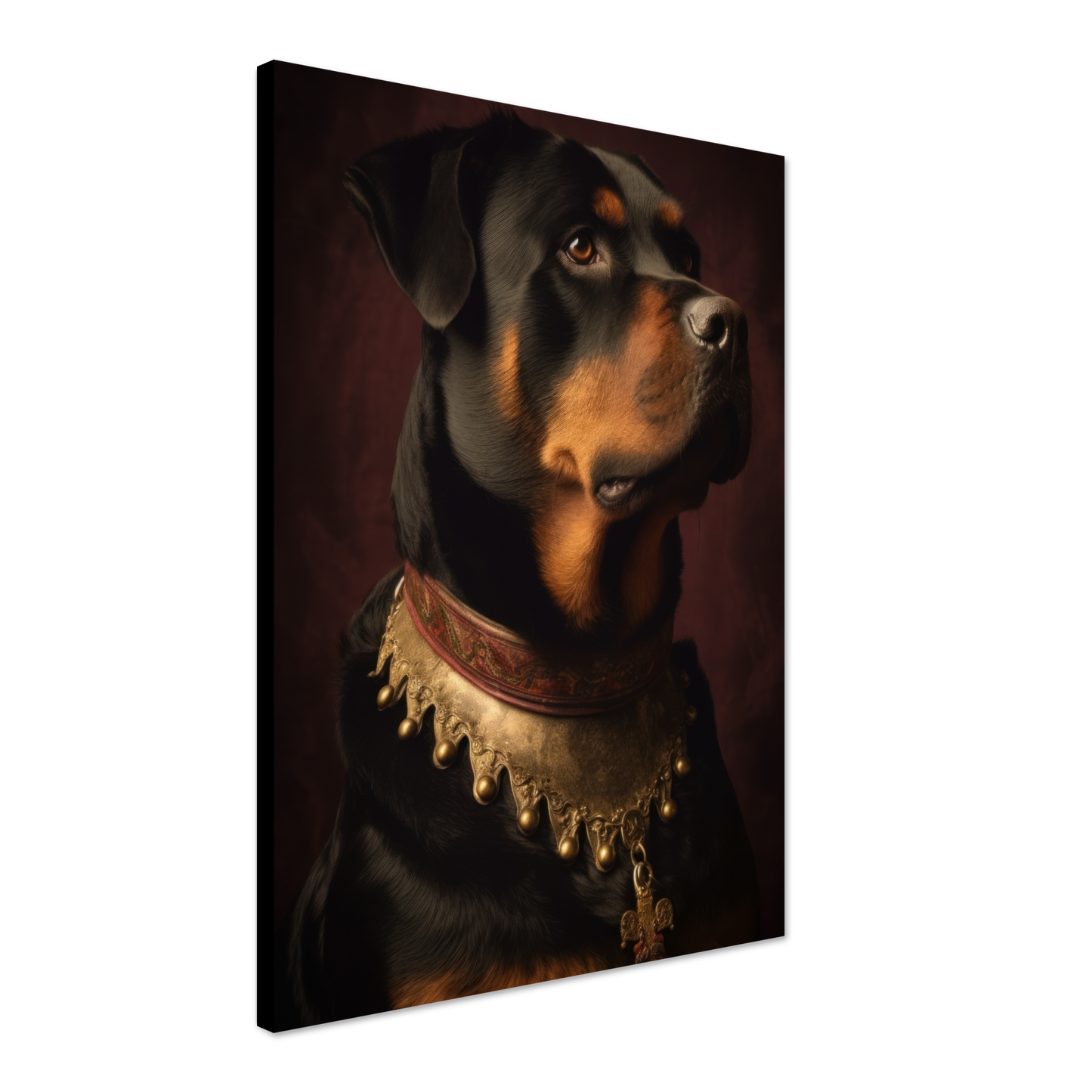 Rottweiler Renaissance (DOG212)