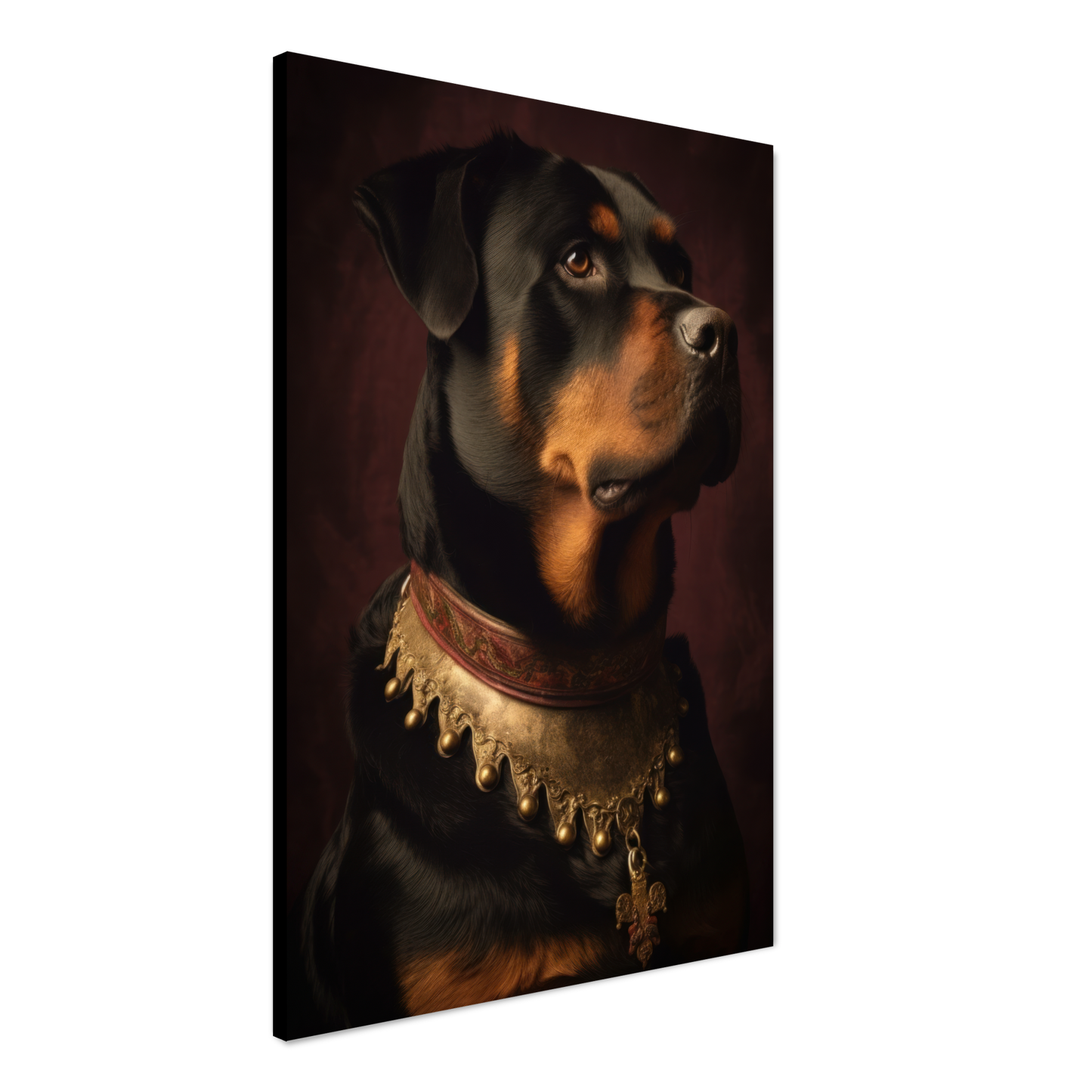 Rottweiler Renaissance (DOG212)