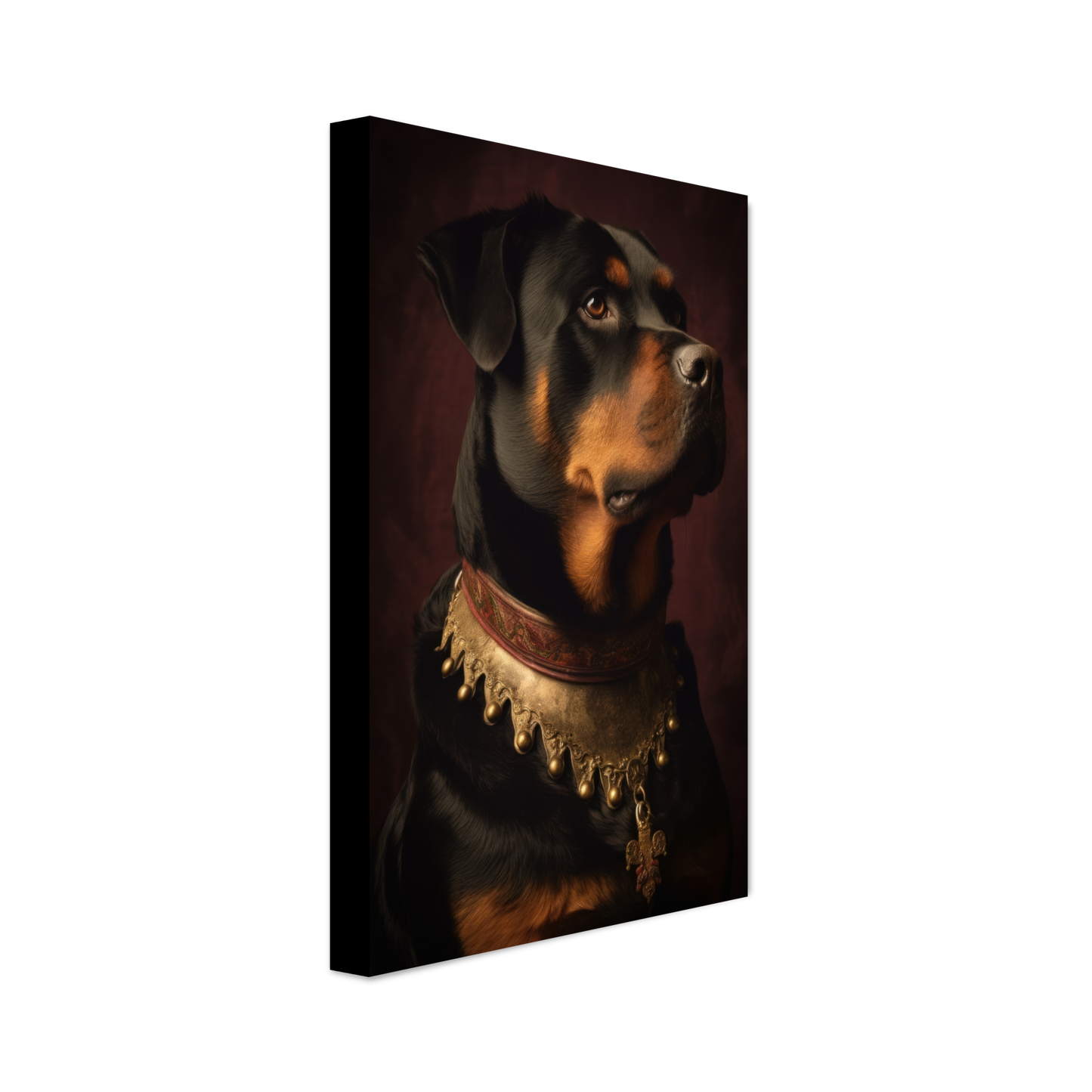 Rottweiler Renaissance (DOG212)