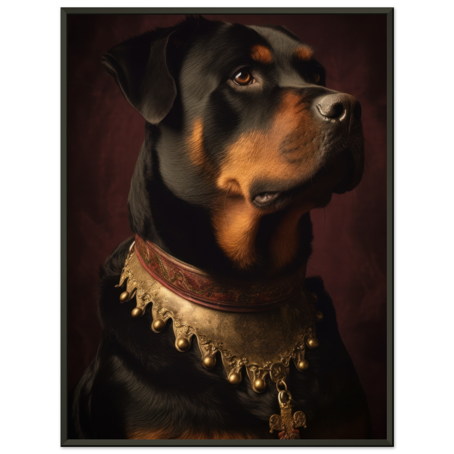 Rottweiler Renaissance (DOG212)