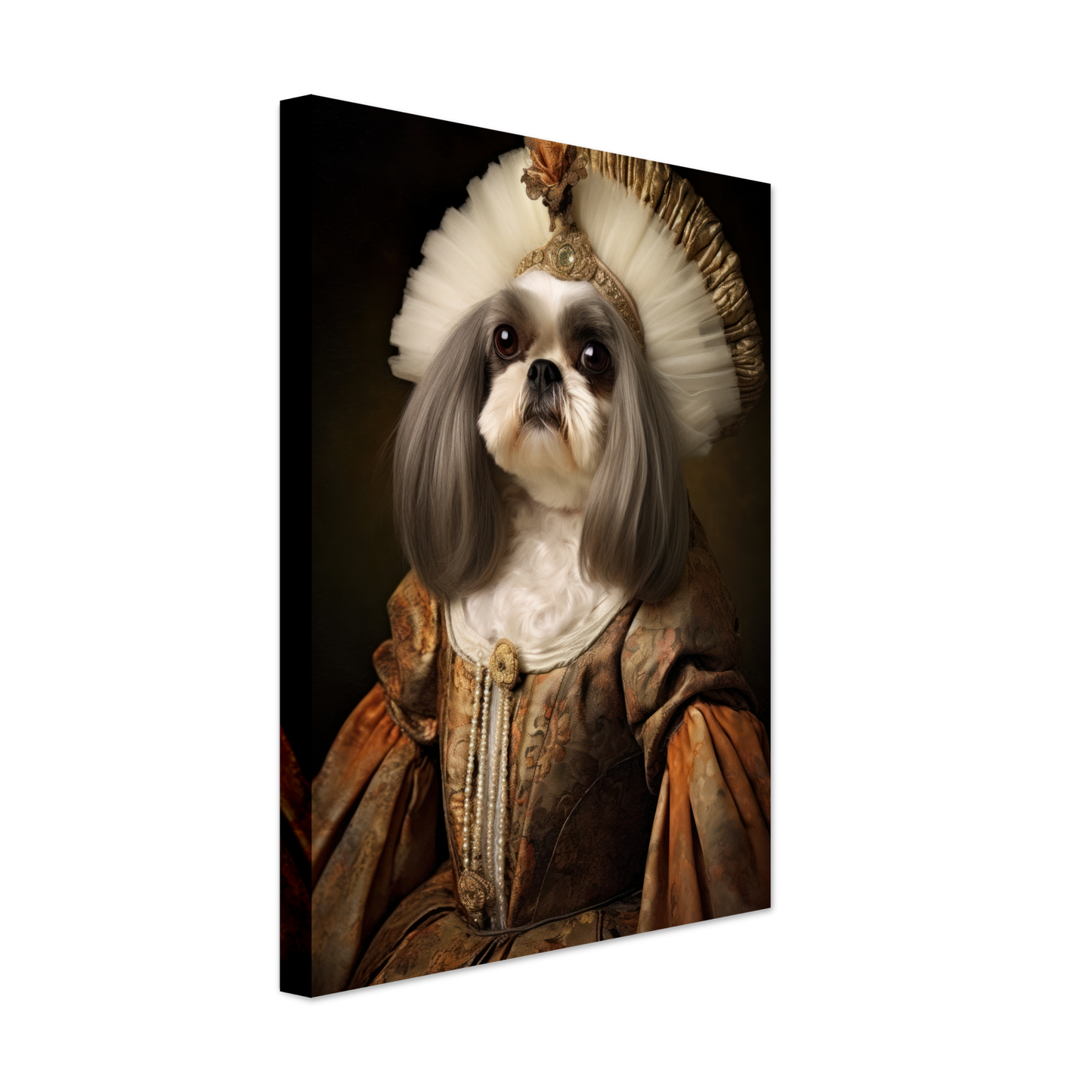 Shih Tzu renaissance (DOG225)