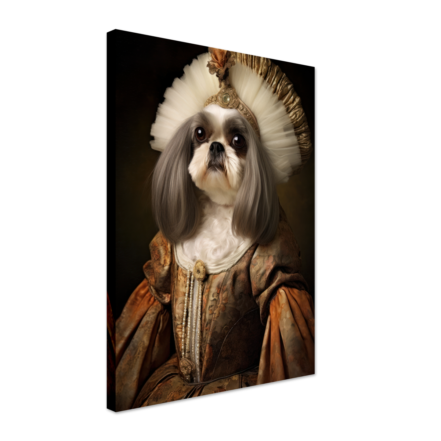Shih Tzu renaissance (DOG225)