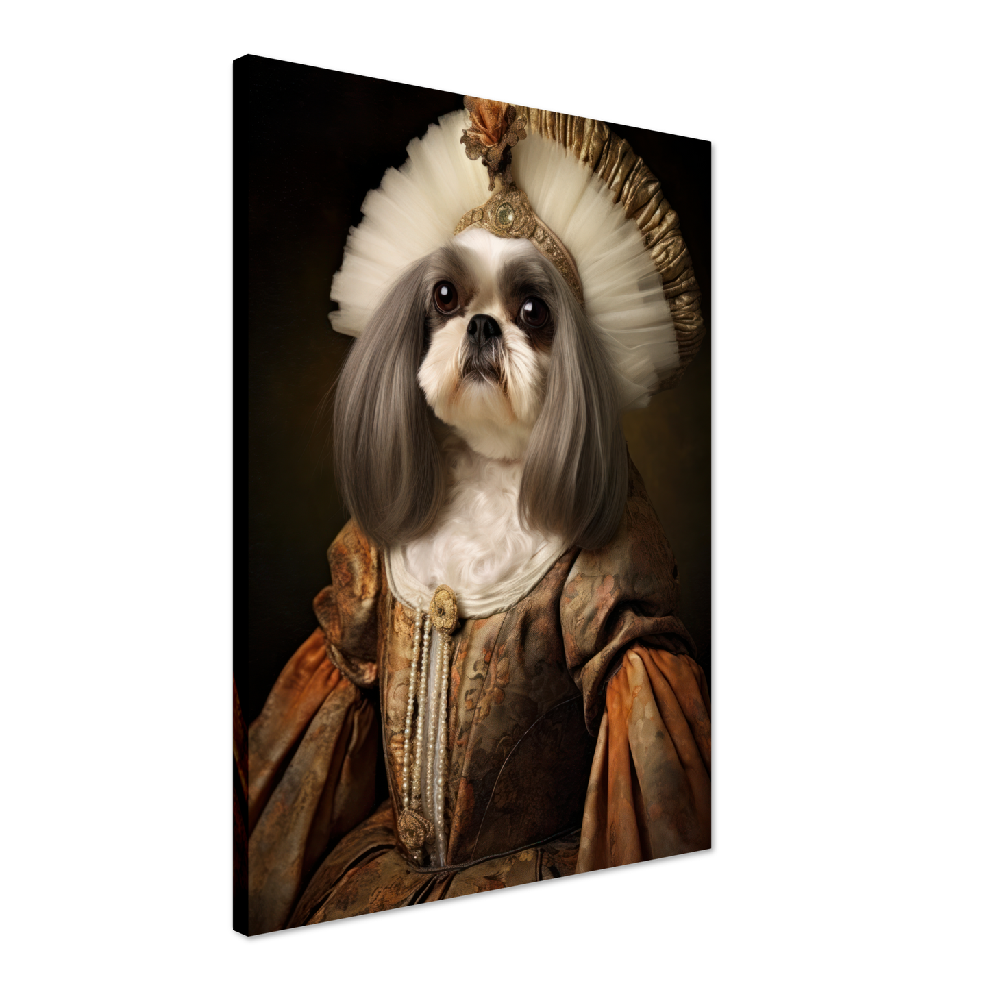 Shih Tzu renaissance (DOG225)