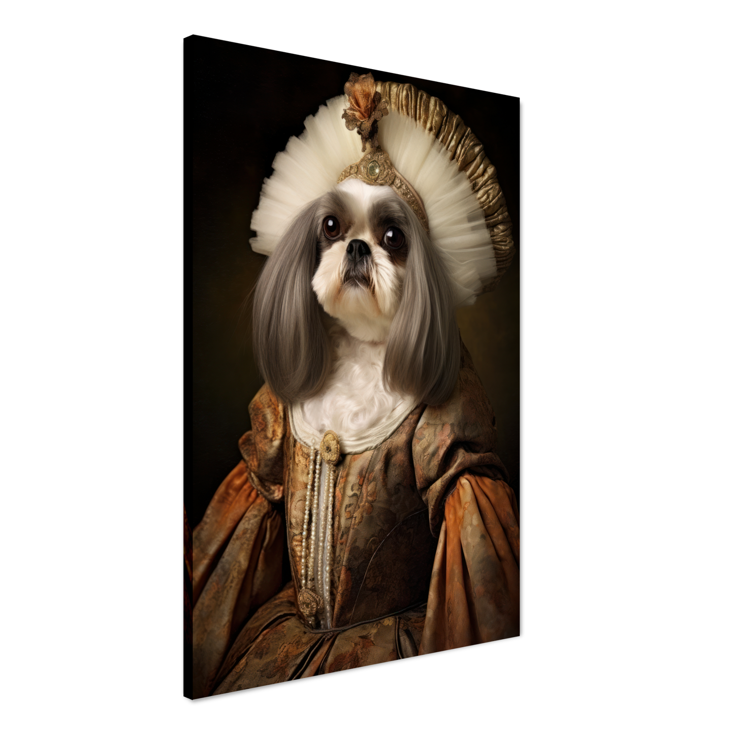 Shih Tzu renaissance (DOG225)