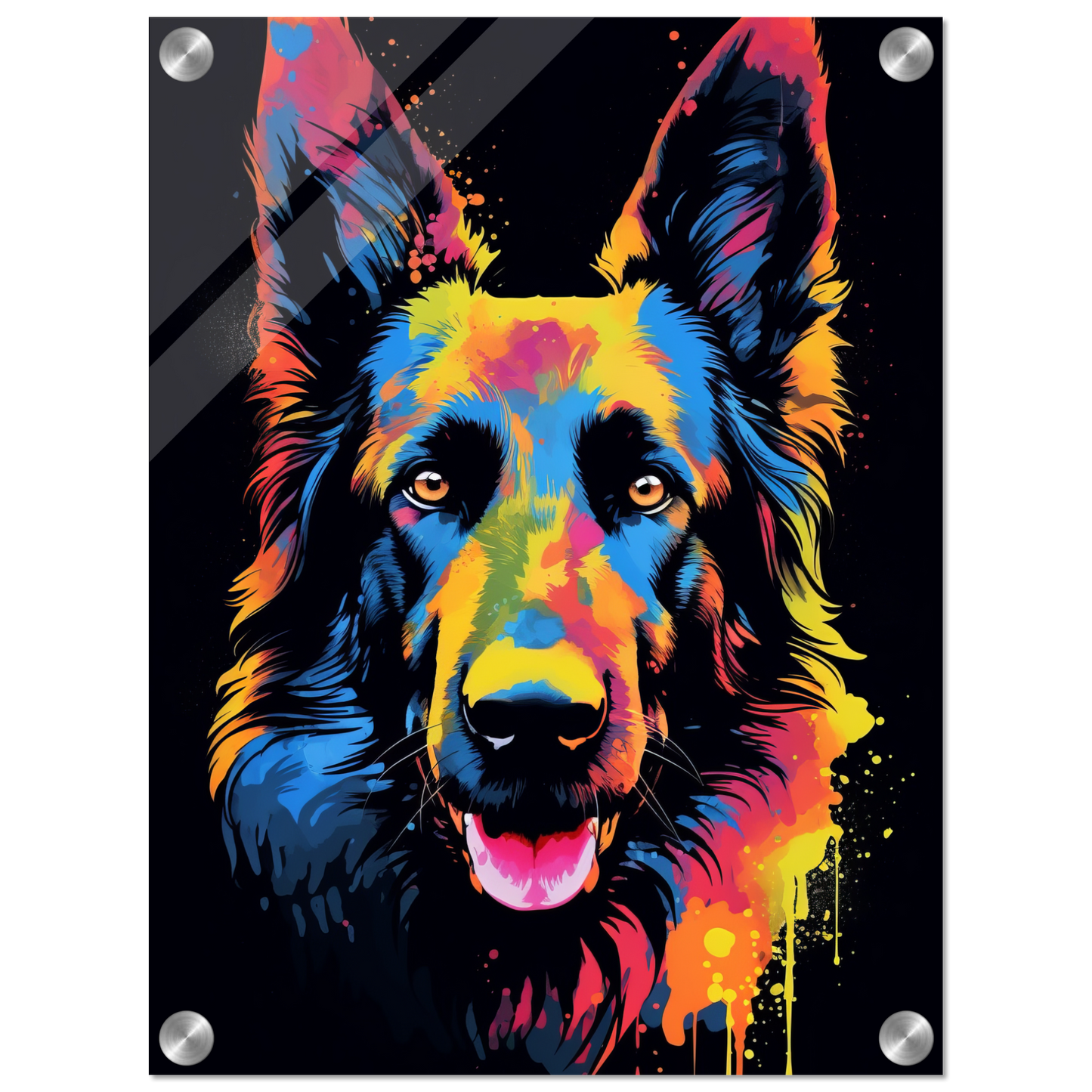 Belgischer Schäferhund Pop-Art (DOG301)