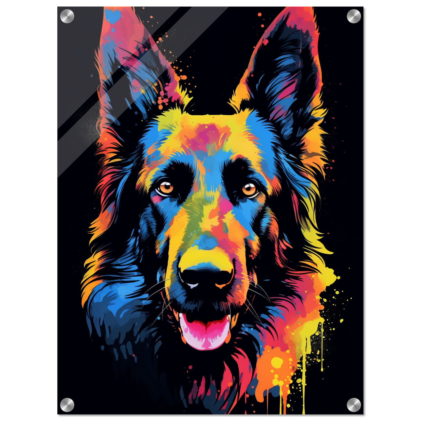 Belgischer Schäferhund Pop-Art (DOG301)
