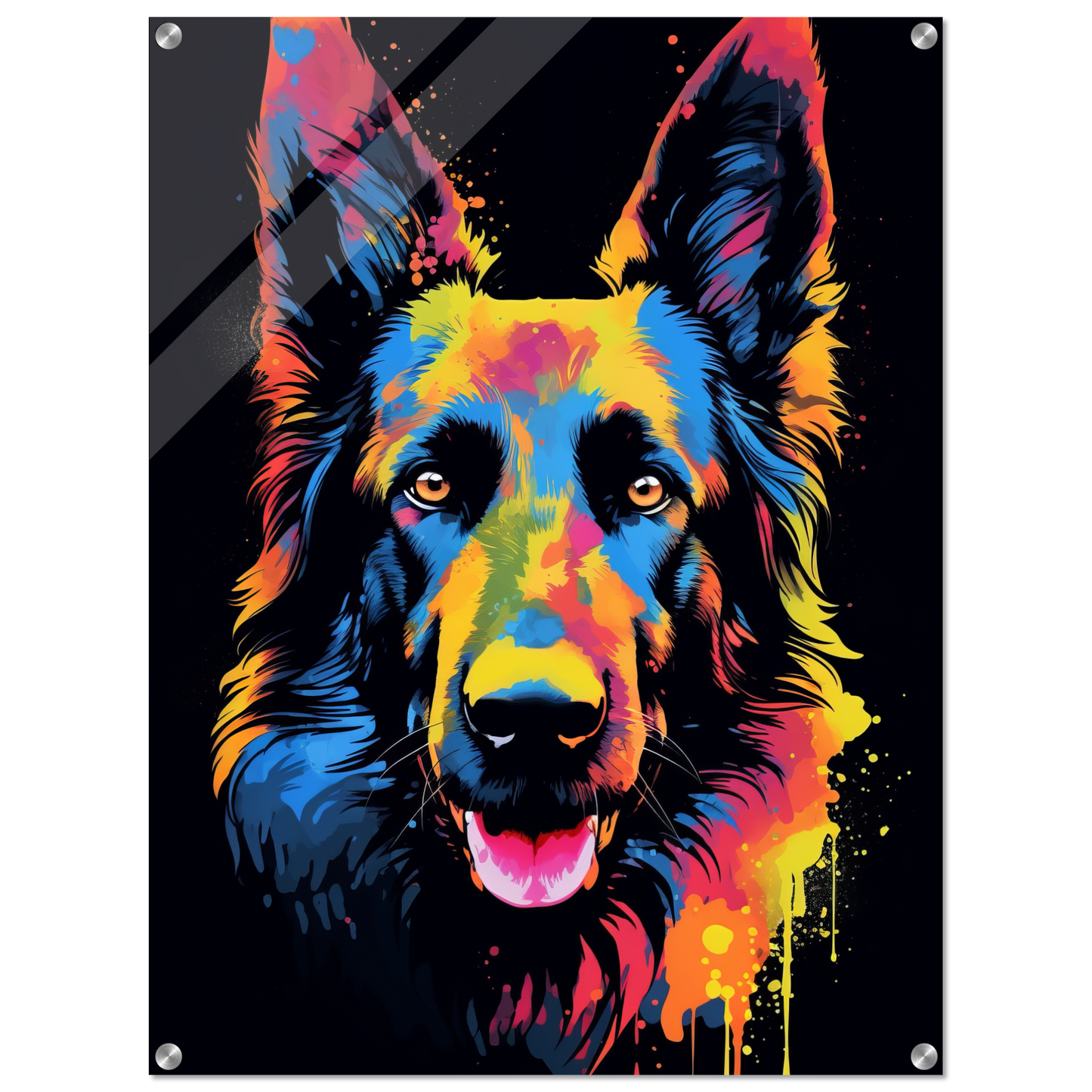 Belgischer Schäferhund Pop-Art (DOG301)
