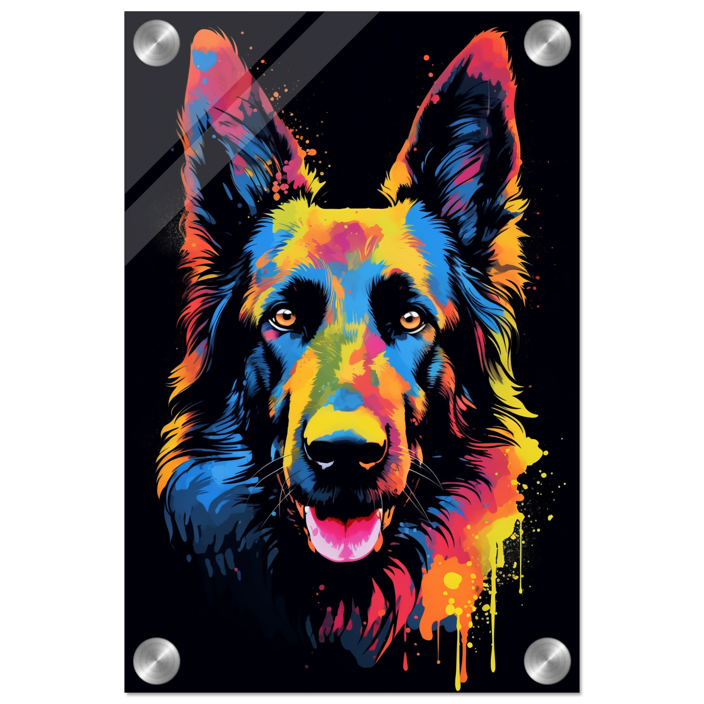 Belgischer Schäferhund Pop-Art (DOG301)