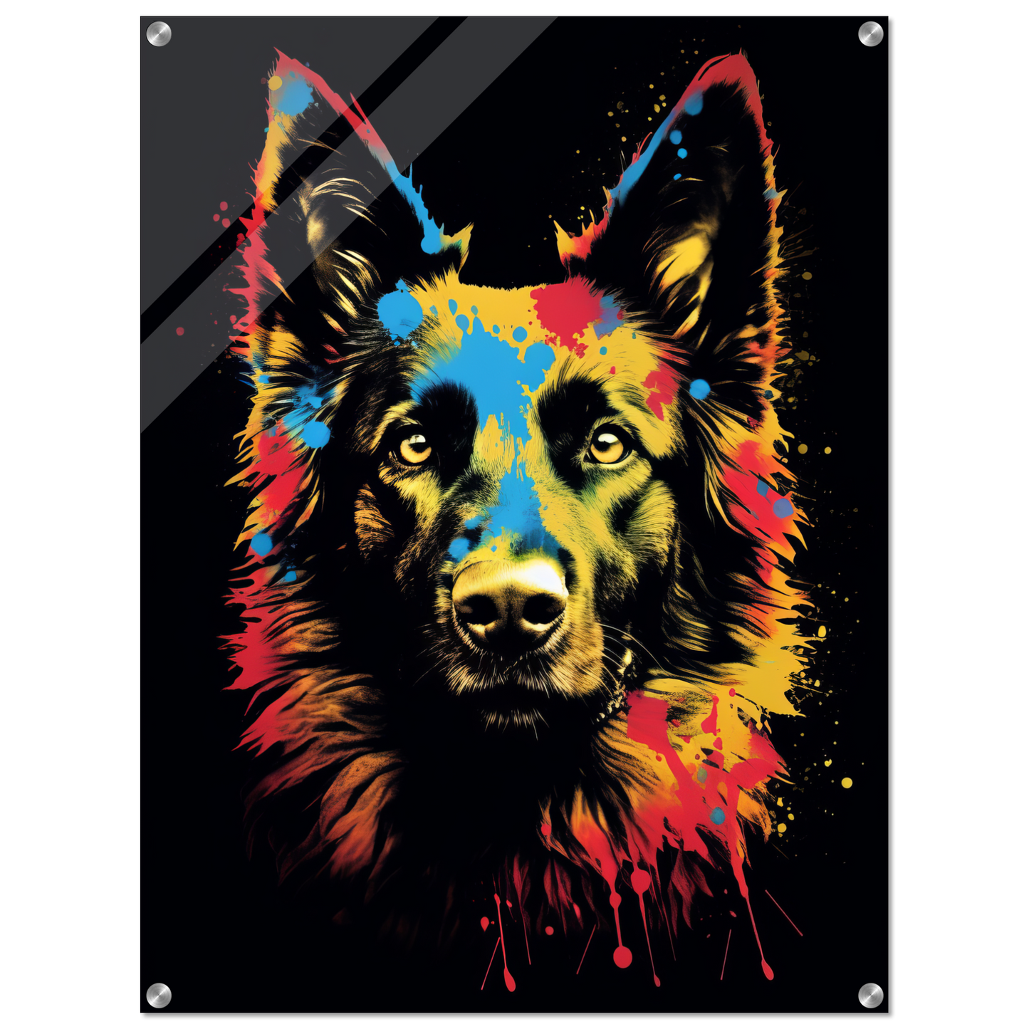 Belgischer Schäferhund Pop-Art (DOG302)