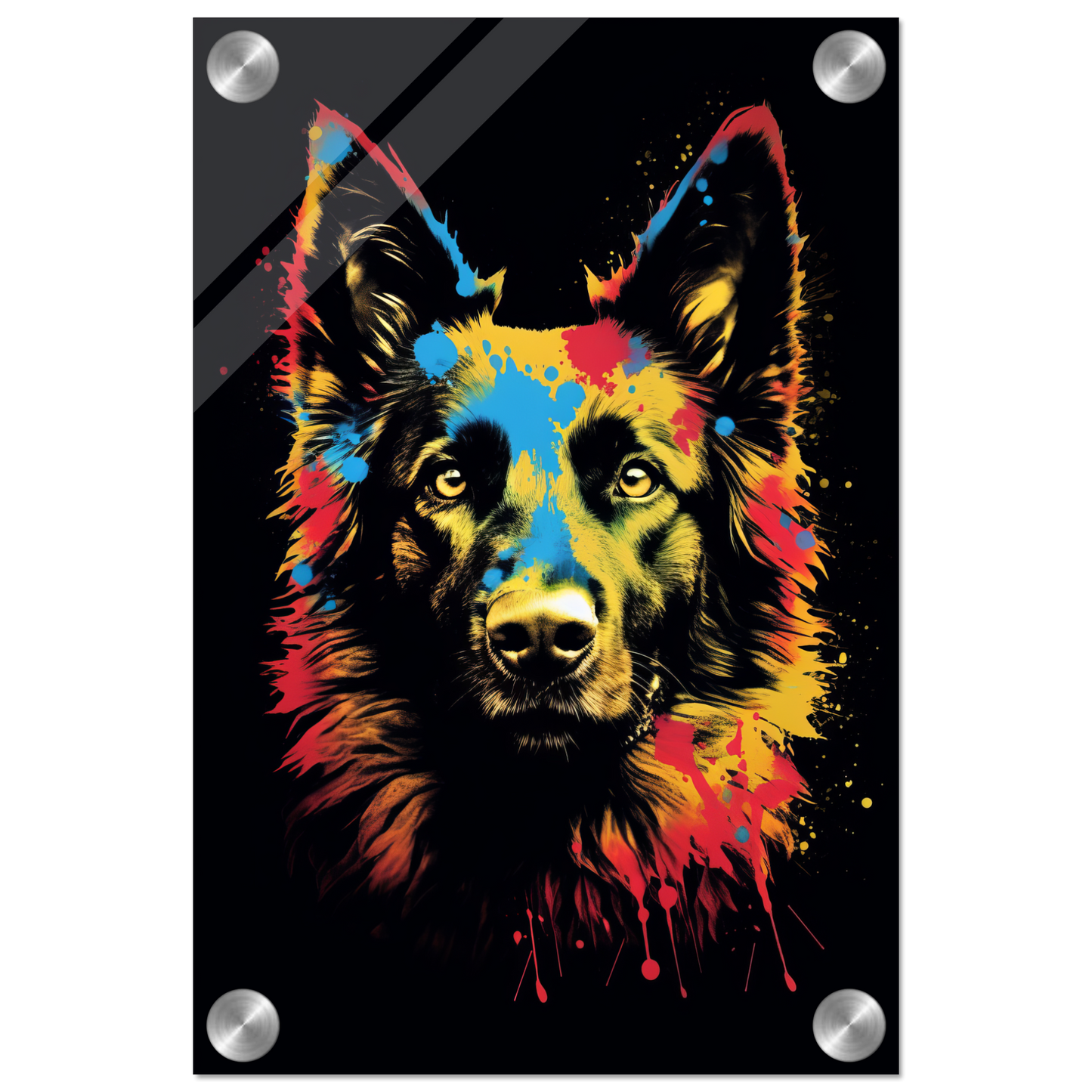 Belgischer Schäferhund Pop-Art (DOG302)