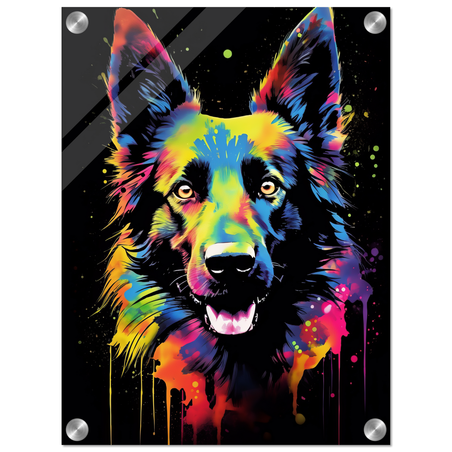 Belgischer Schäferhund Pop-Art (DOG303)