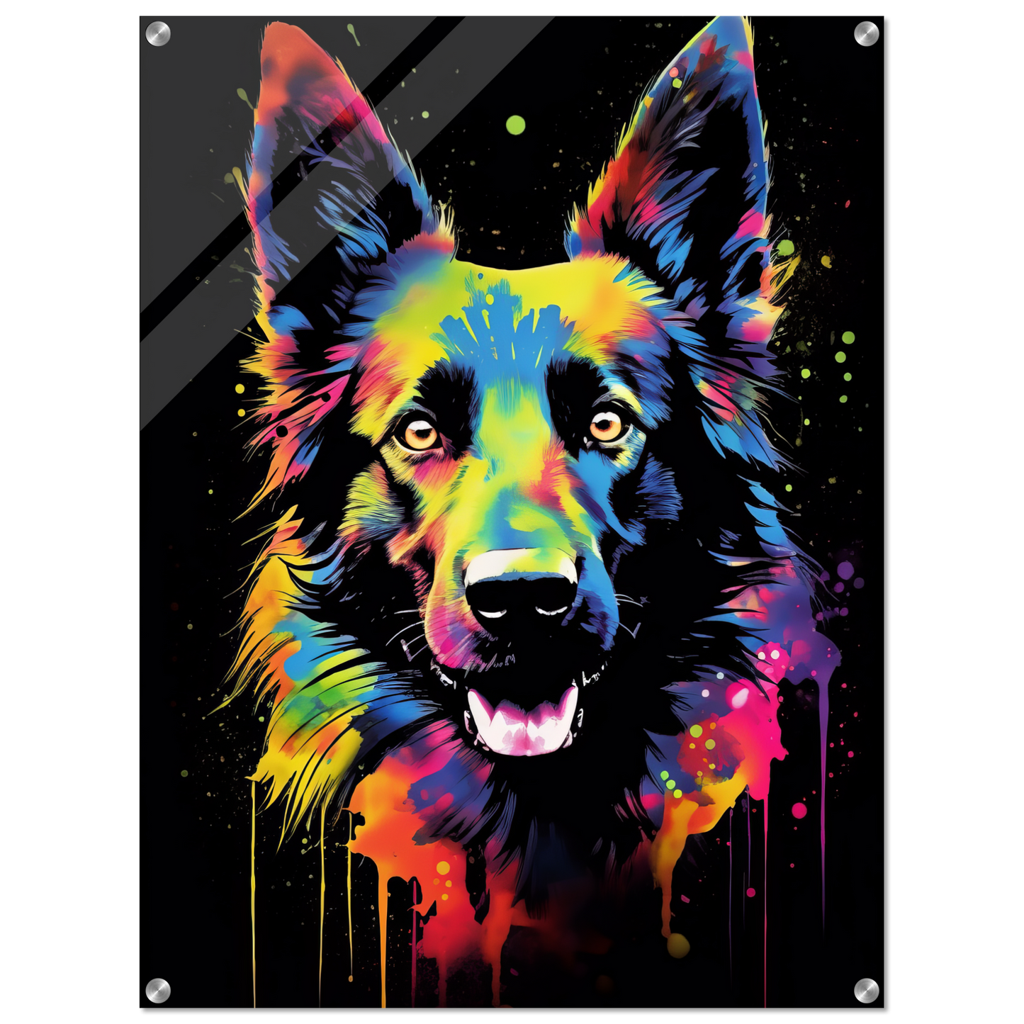 Belgischer Schäferhund Pop-Art (DOG303)