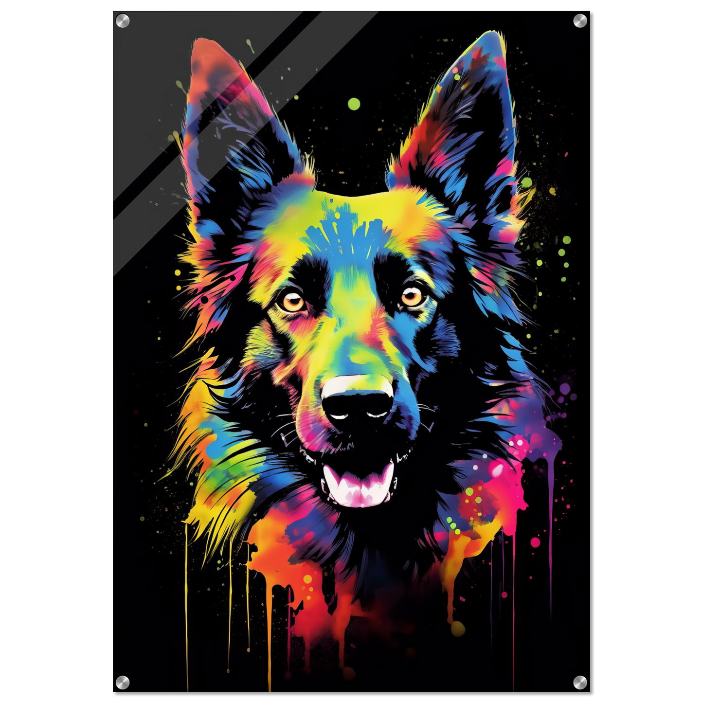 Belgischer Schäferhund Pop-Art (DOG303)