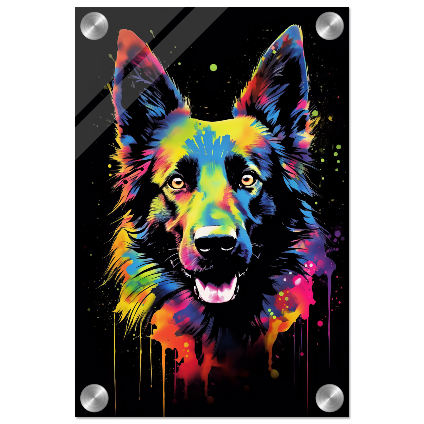 Belgischer Schäferhund Pop-Art (DOG303)