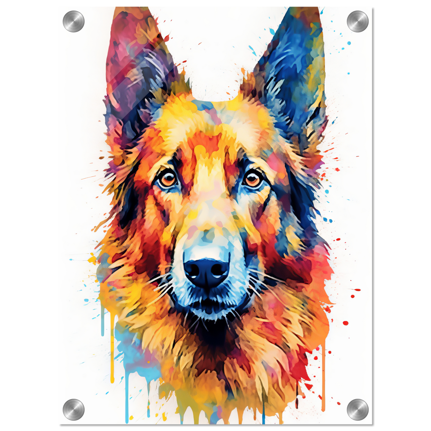 Belgischer Schäferhund Pop-Art (DOG307)