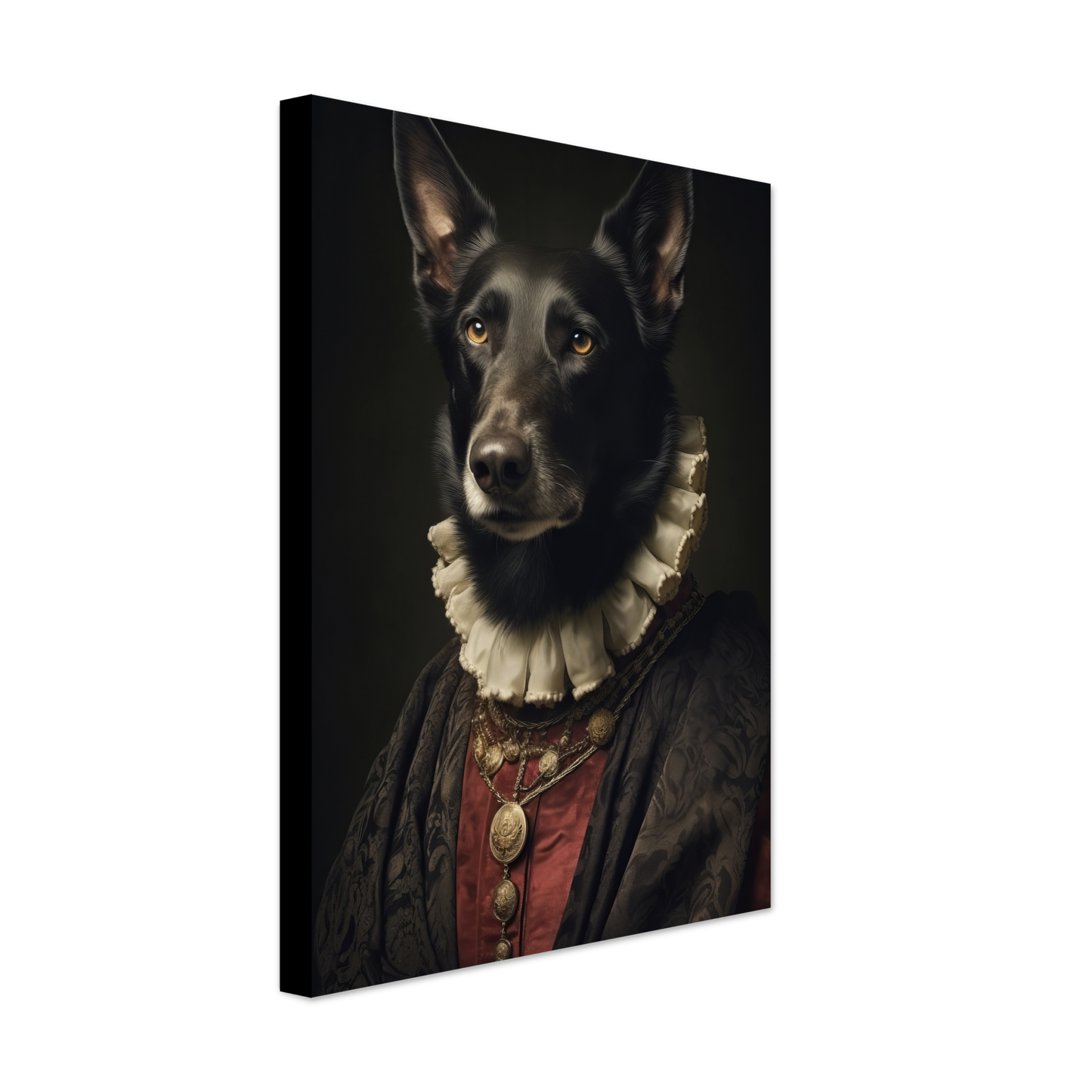 Belgischer Schäferhund Renaissance (DOG311)